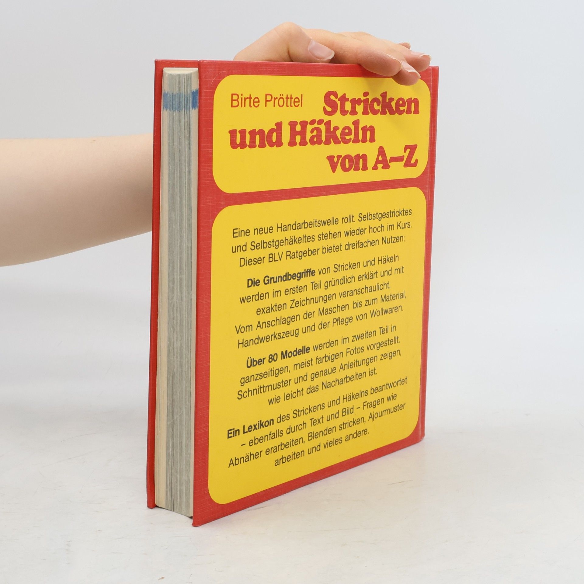 Birte Pröttel Stricken und Häkeln von A - Z