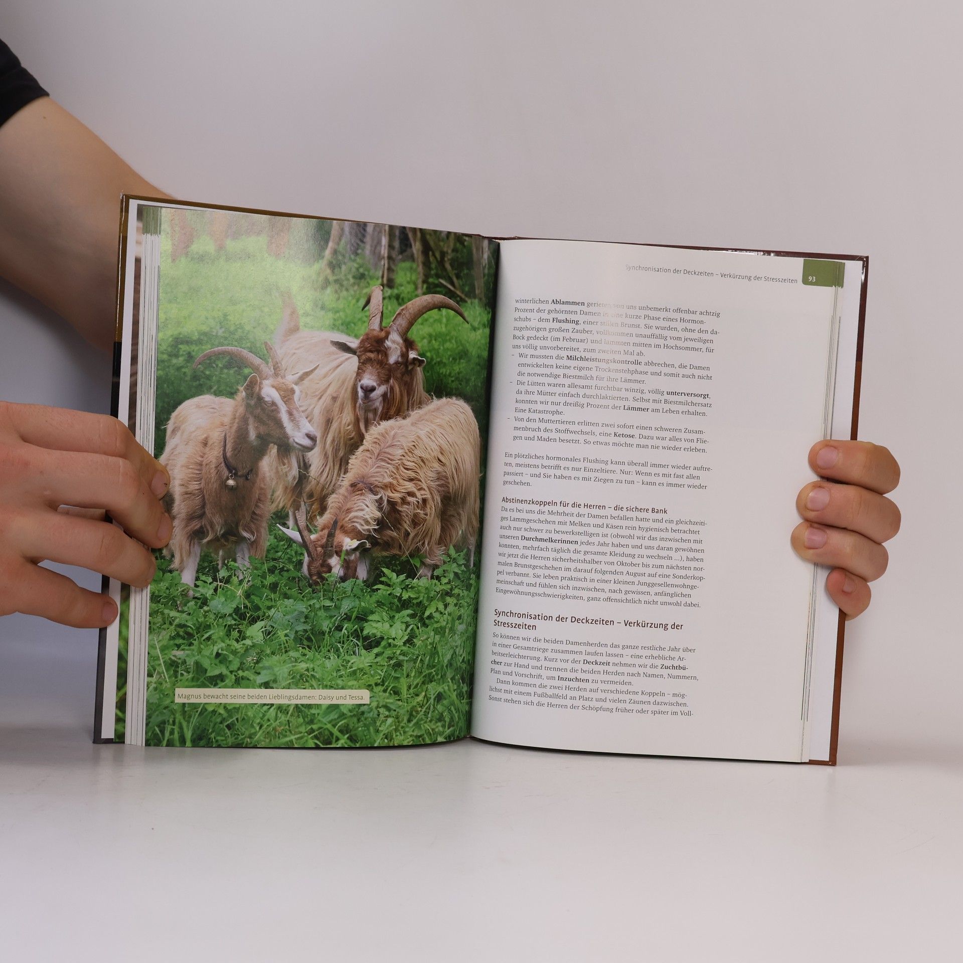 Andrea Kurschus Das Milchziegenbuch