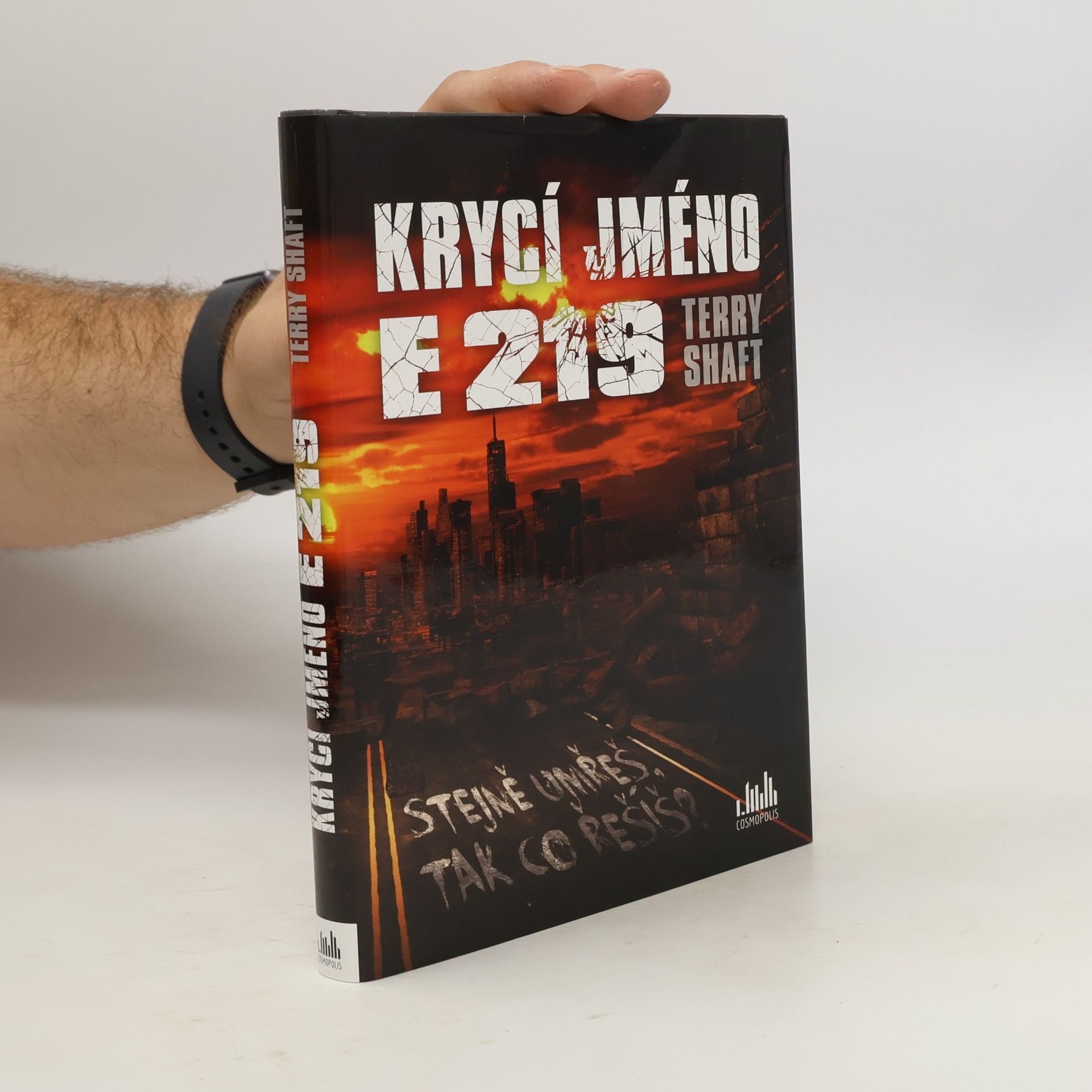 Terry Shaft Krycí jméno E219