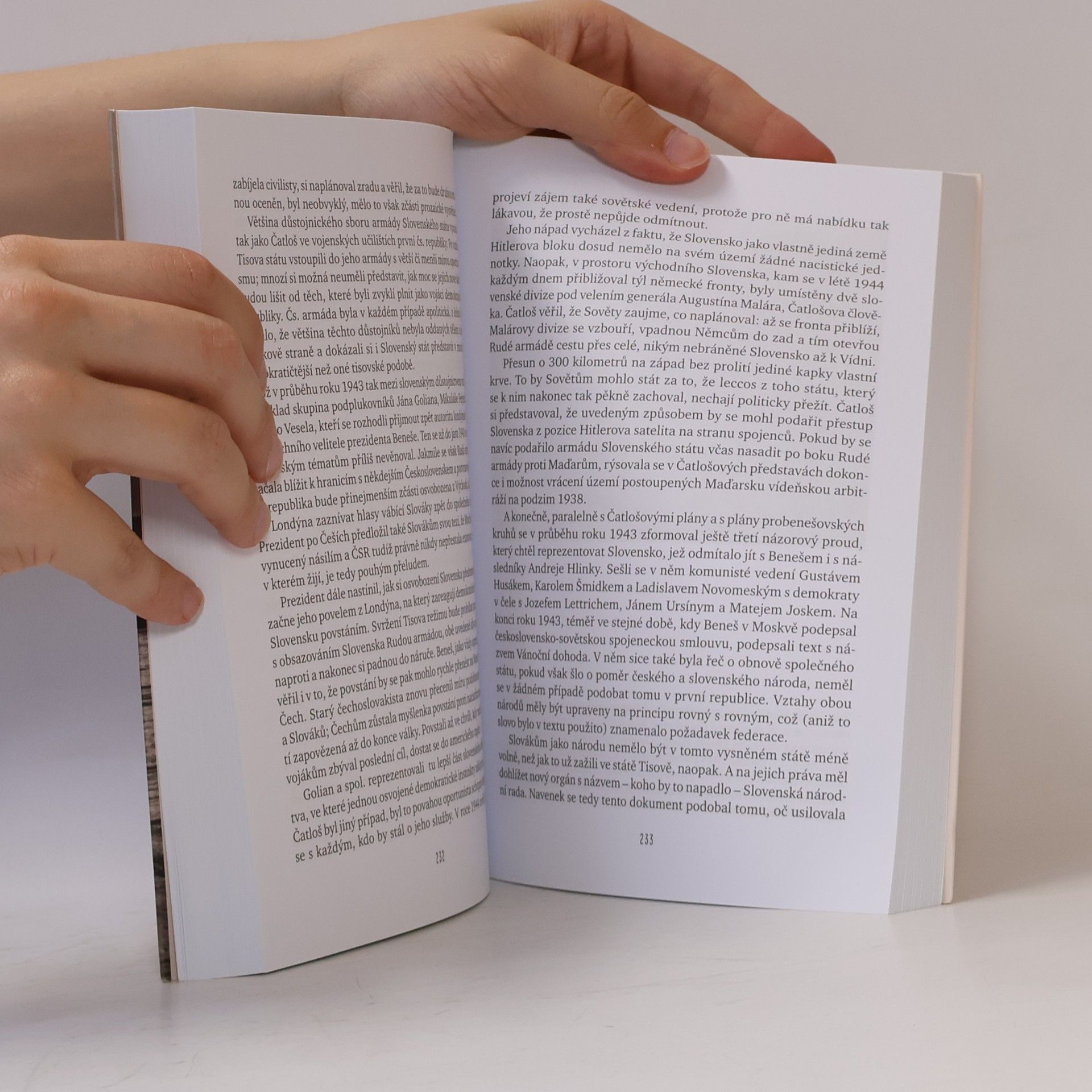Pavel Kosatík Slovenské století