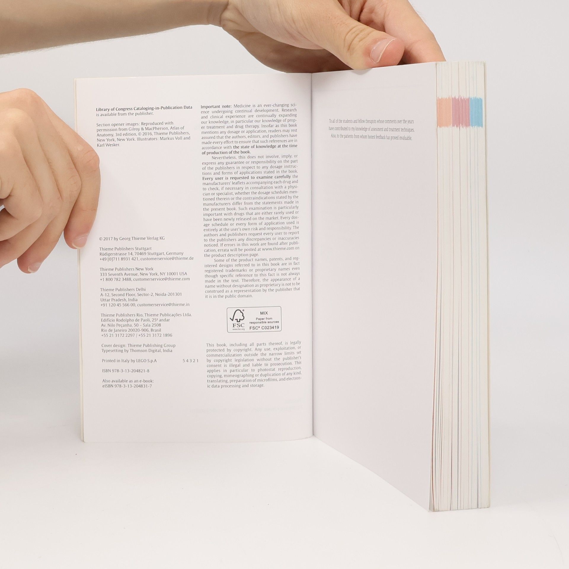 Jane Johnson The Big Back Book