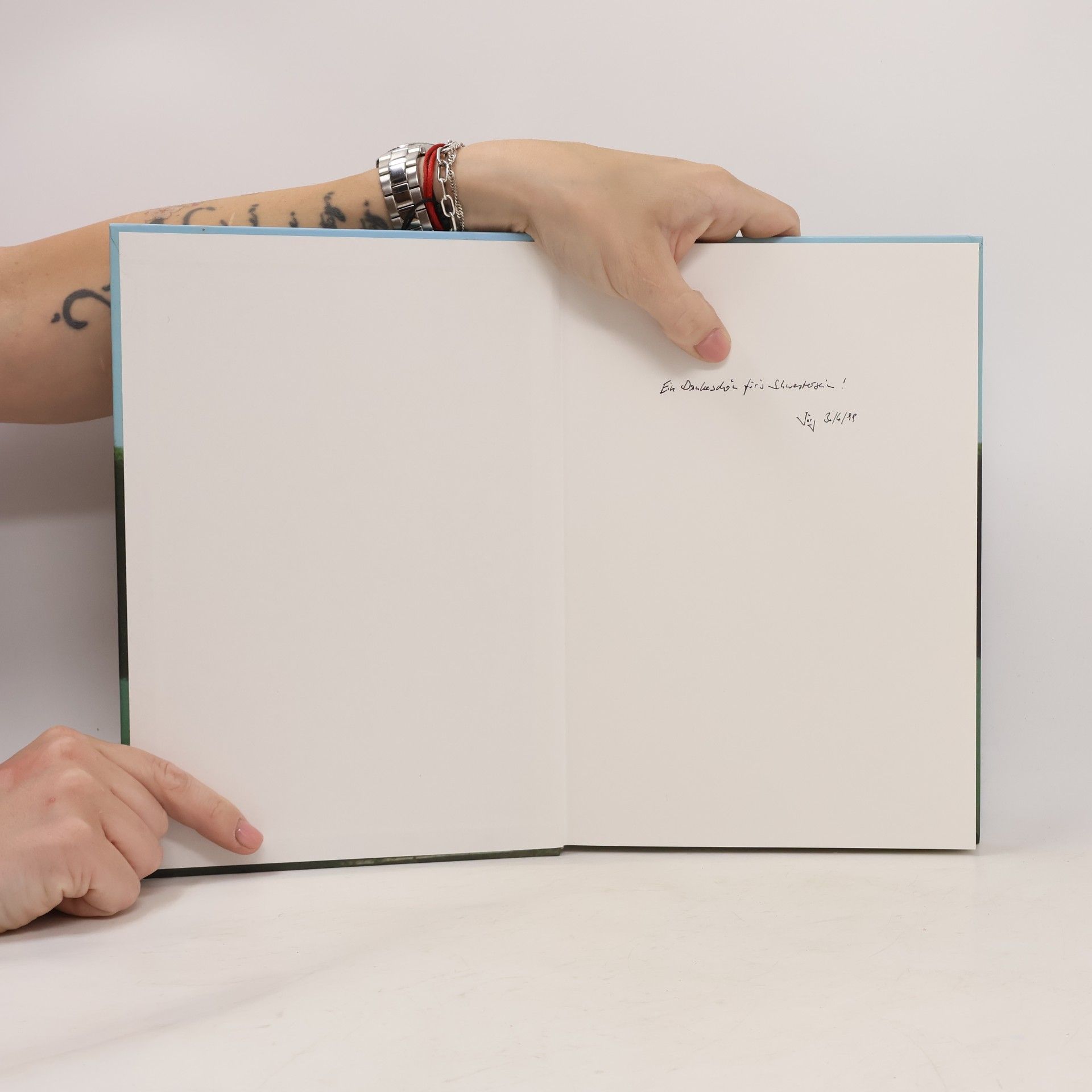 Michael Vescoli Der keltische Baumkalender