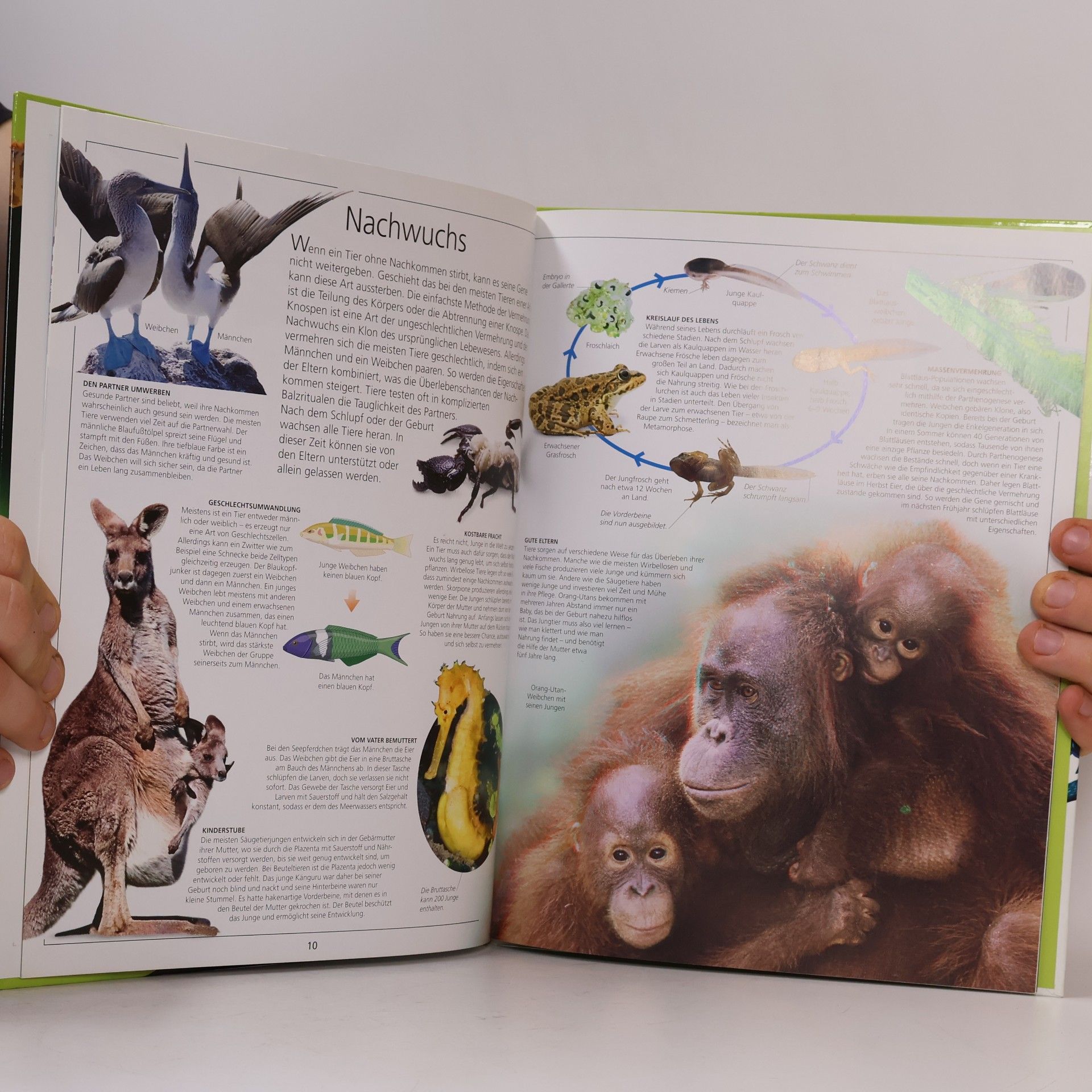 Kolektiv autorů Welt der Tiere
