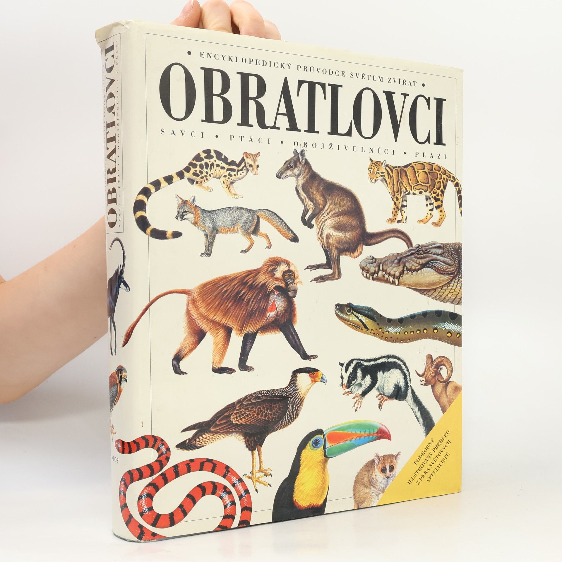 David Kirshner Obratlovci : savci, ptáci, obojživelníci, plazi : encyklopedický průvodce světem zvířat