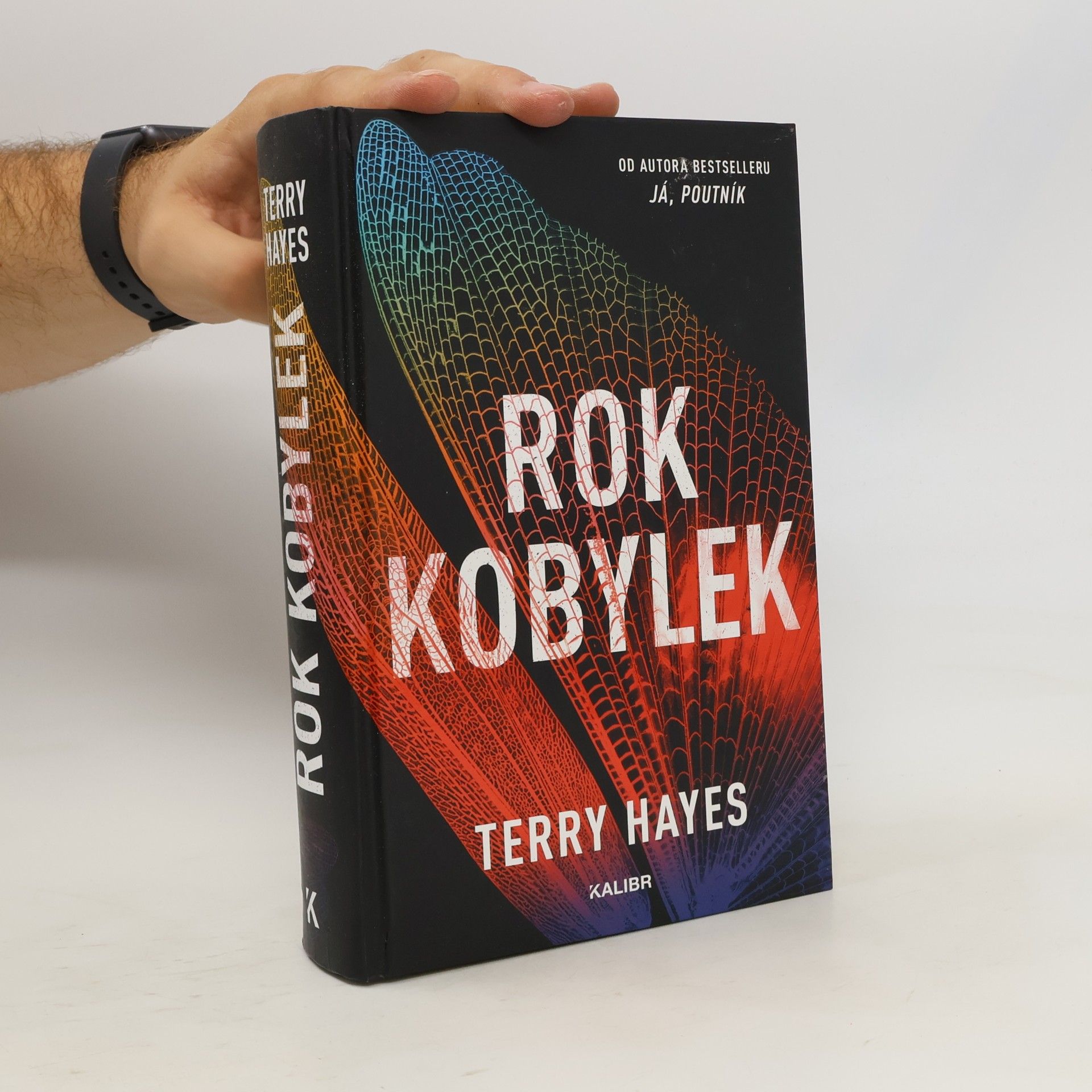 Terry Hayes Rok kobylek