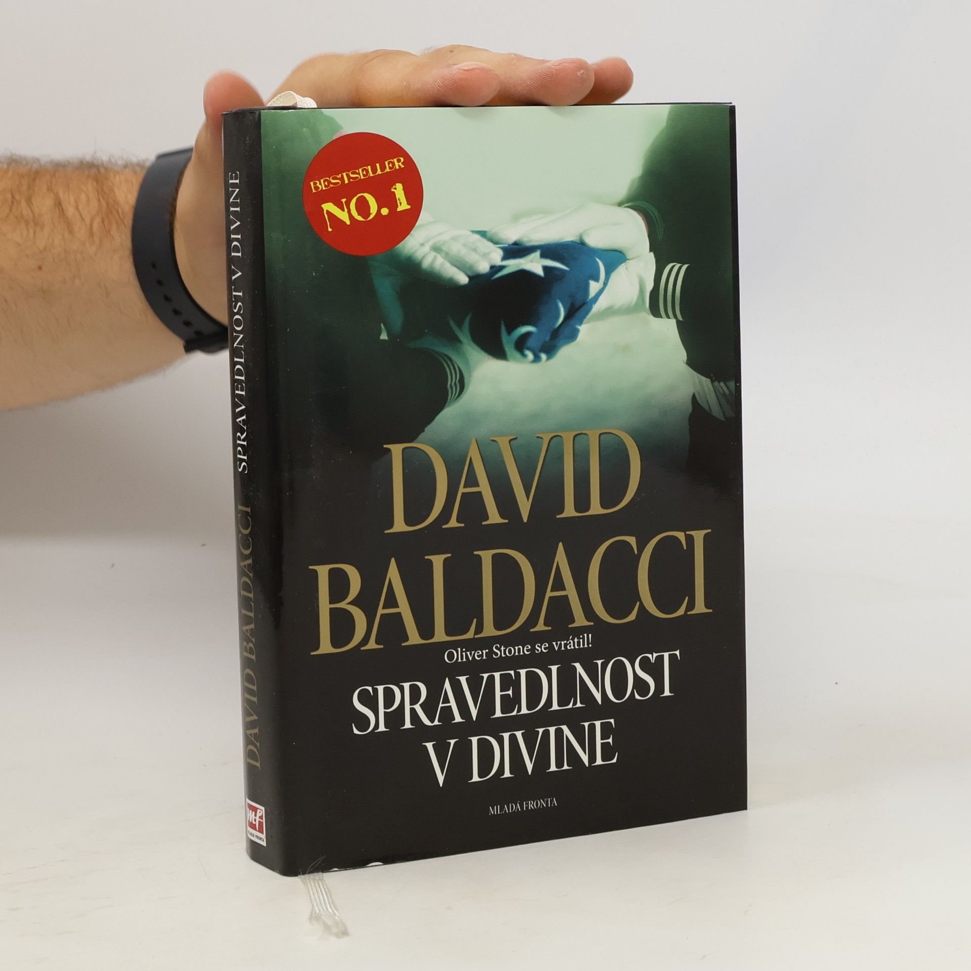 David Baldacci Spravedlnost v Divine