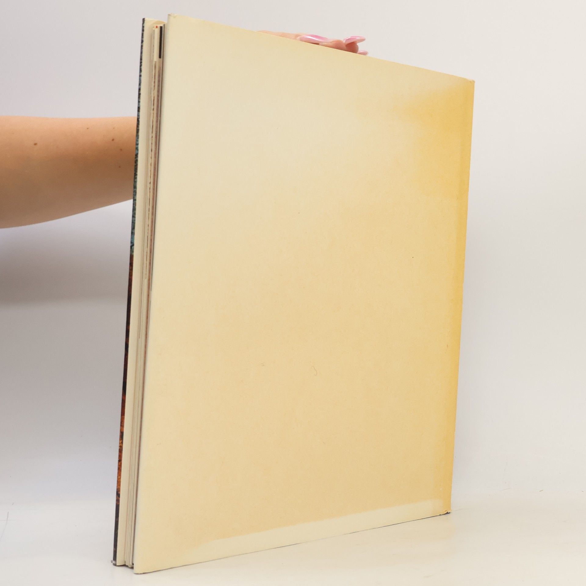 Grant Neil Erotische Kunst der Antike