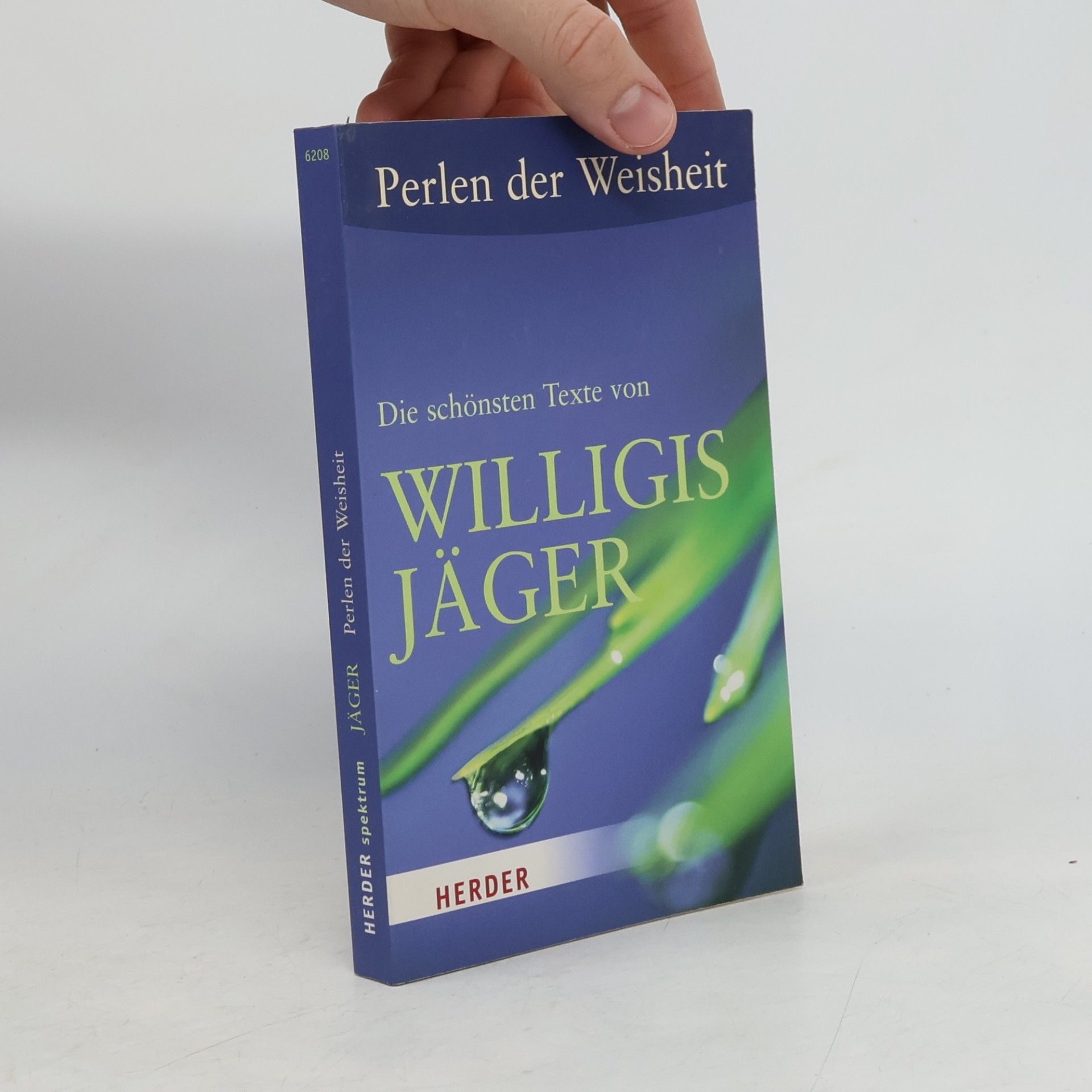 Willigis Jäger Die schönsten Texte