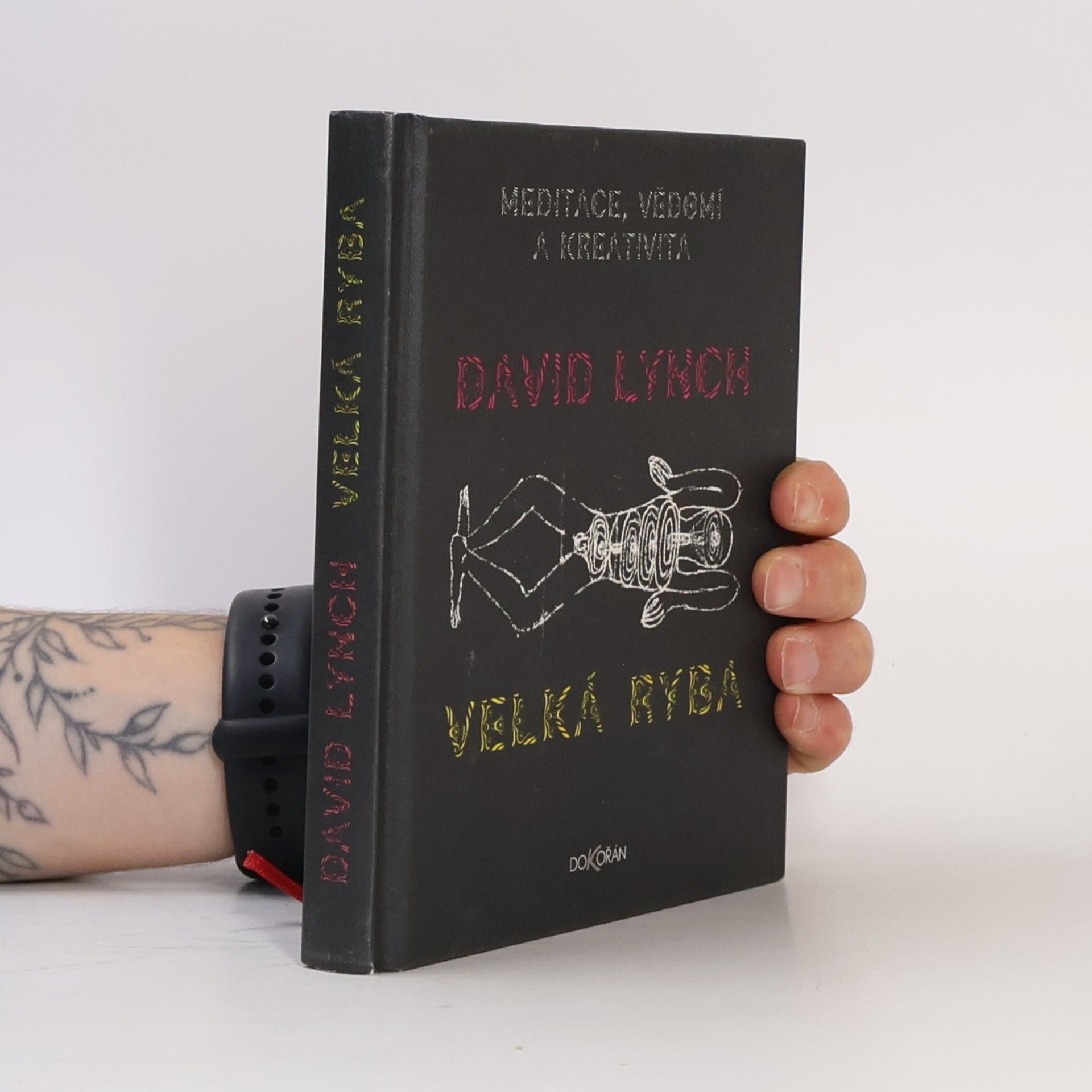 David Lynch Velká ryba: Meditace, vědomí a kreativita