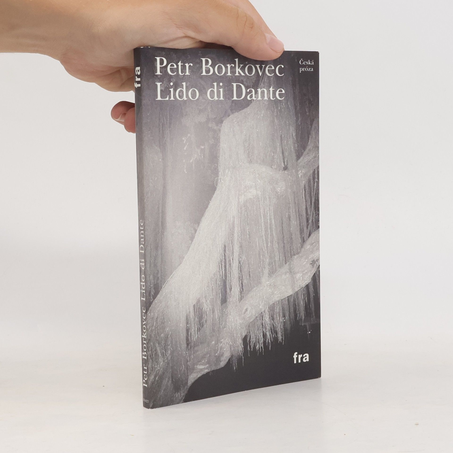 Lido di Dante