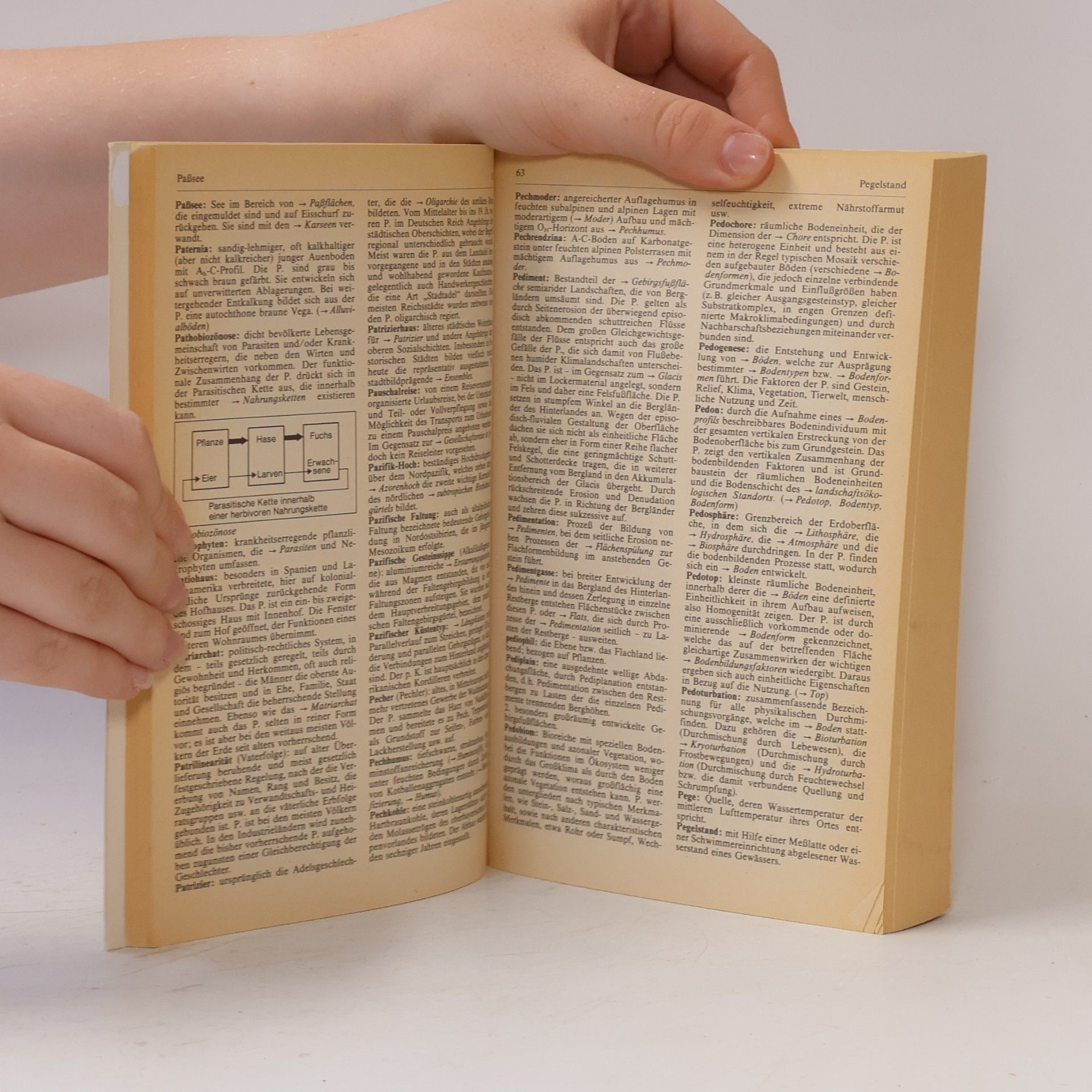 H. D. Haas Diercke-Wörterbuch der allgemeinen Geographie N-Z