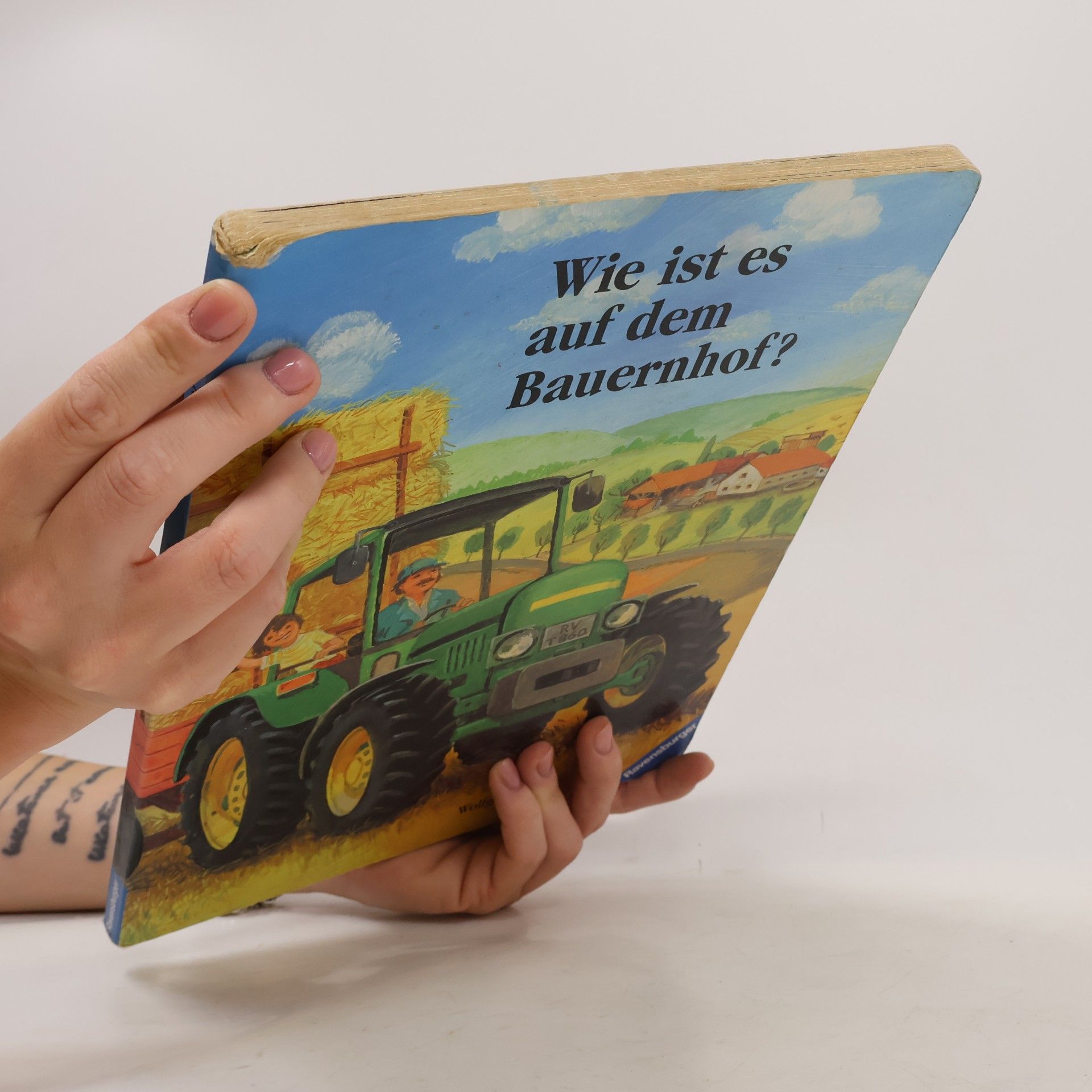 Wolfgang de Haen Wie ist es auf dem Bauernhof?