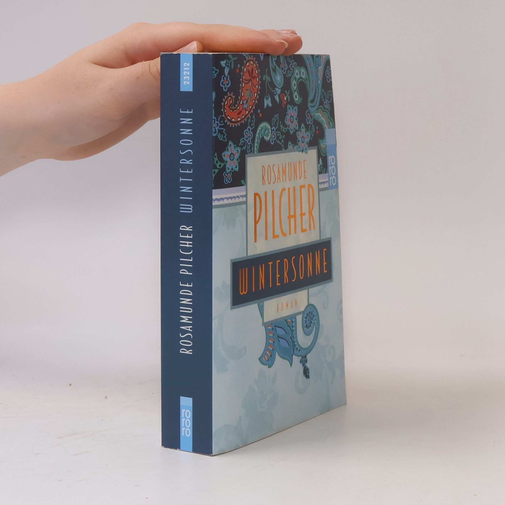 Rosamunde Pilcher Wintersonne