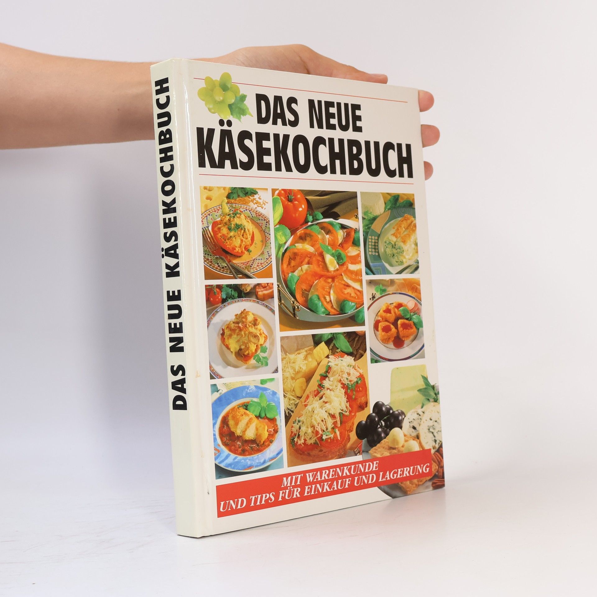 Autorenkollektiv Das neue Käsekochbuch