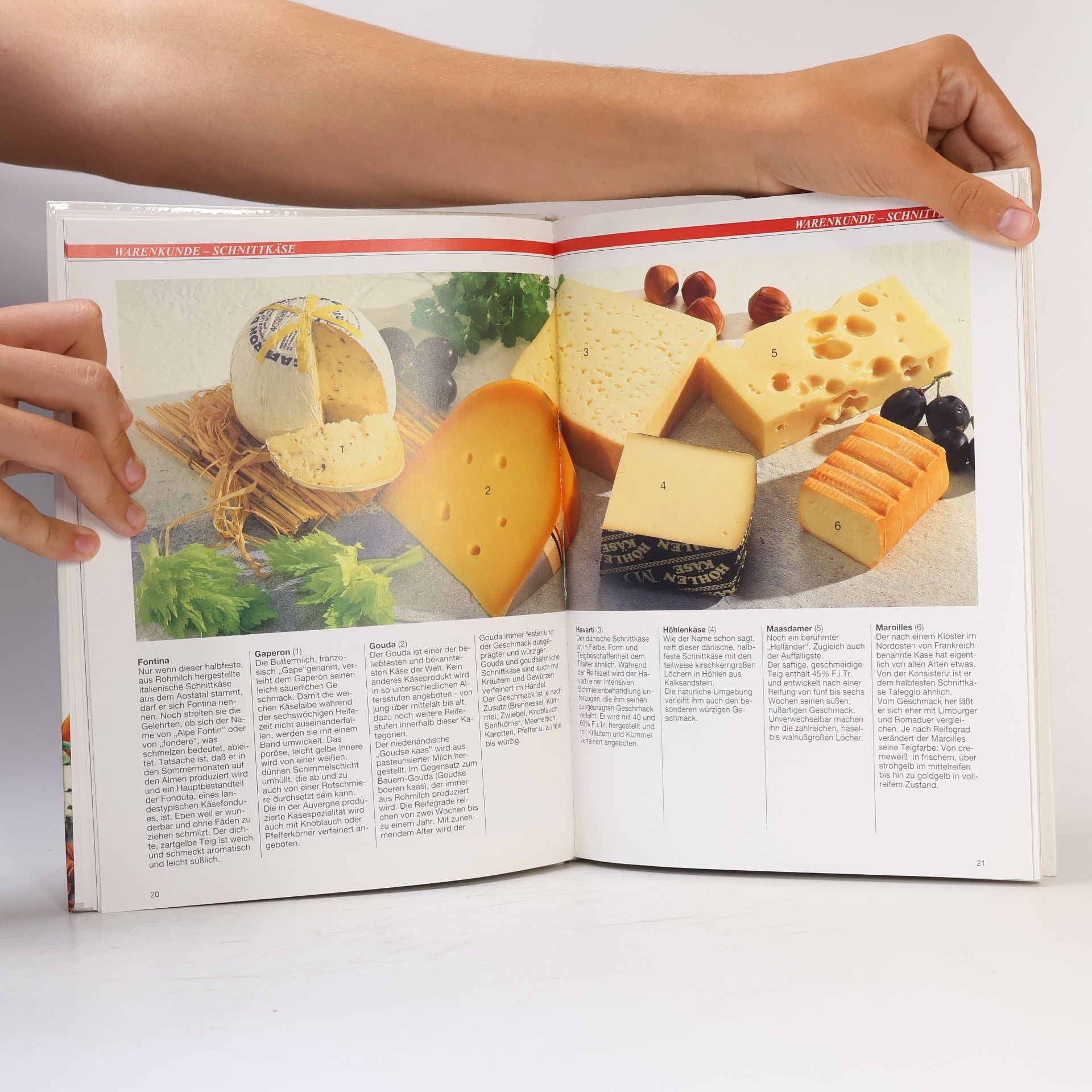 Kolektiv autorů Das neue Käsekochbuch