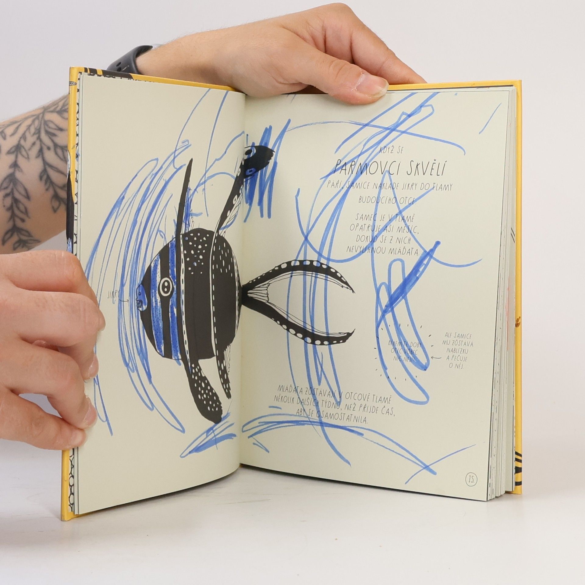 Maja Säfström Ilustrovaný atlas legračních faktů o mláďatech