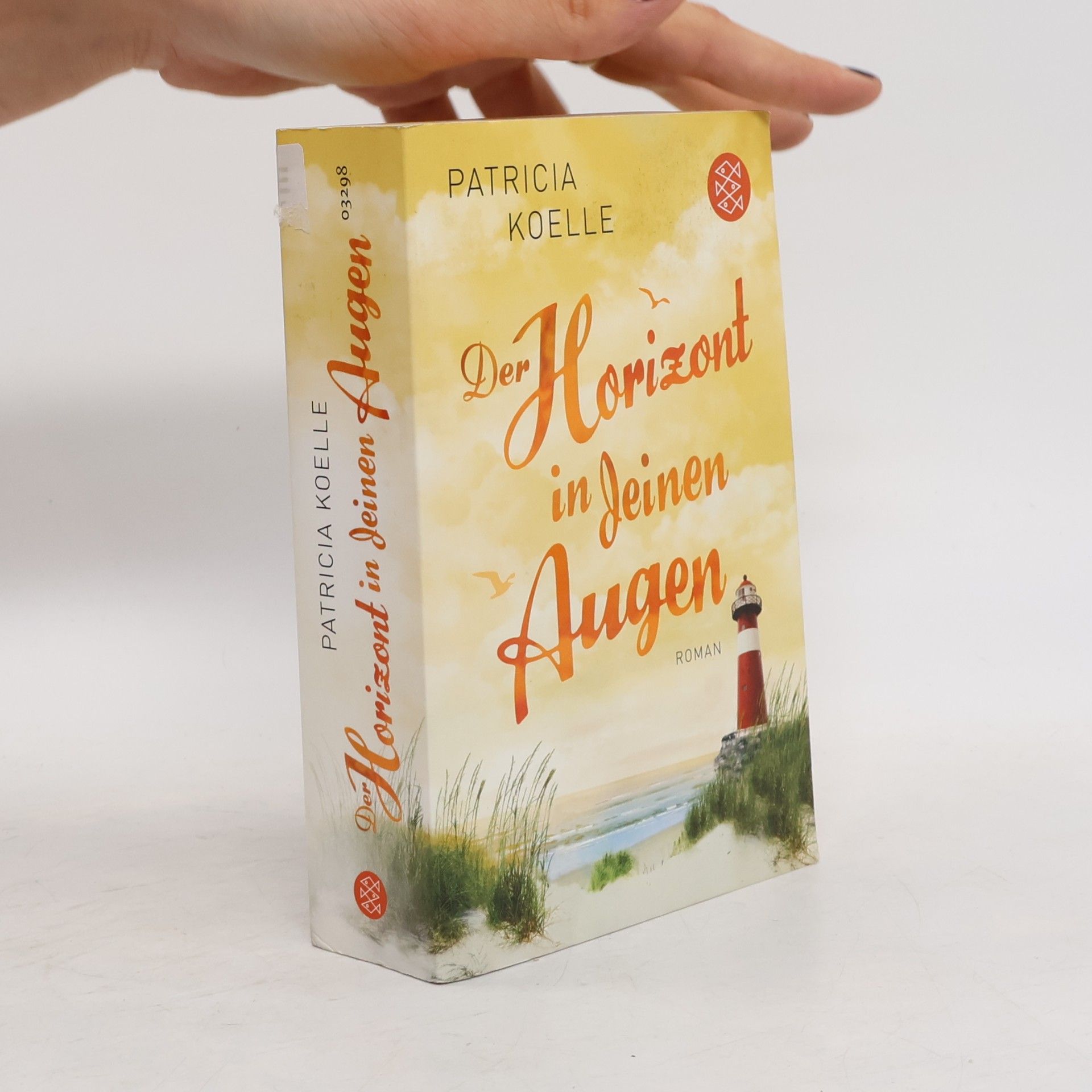 Patricia Koelle Der Horizont in deinen Augen