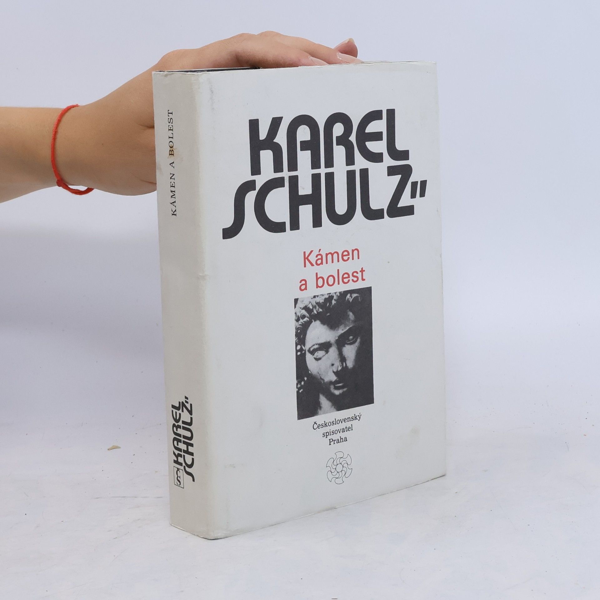 Karel Schulz Kámen a bolest