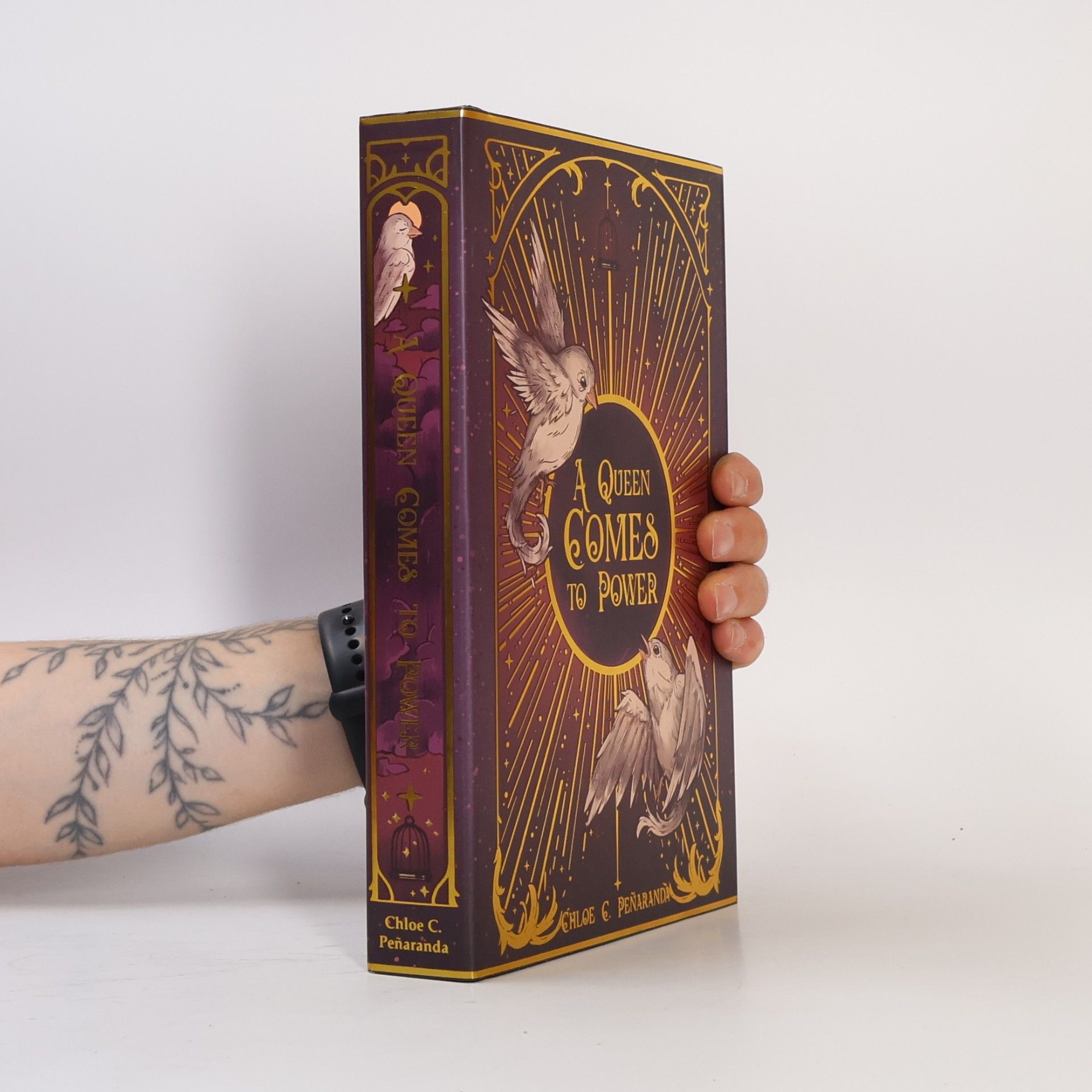 A Queen Comes to Power: An Heir Comes to Rise - Book 2