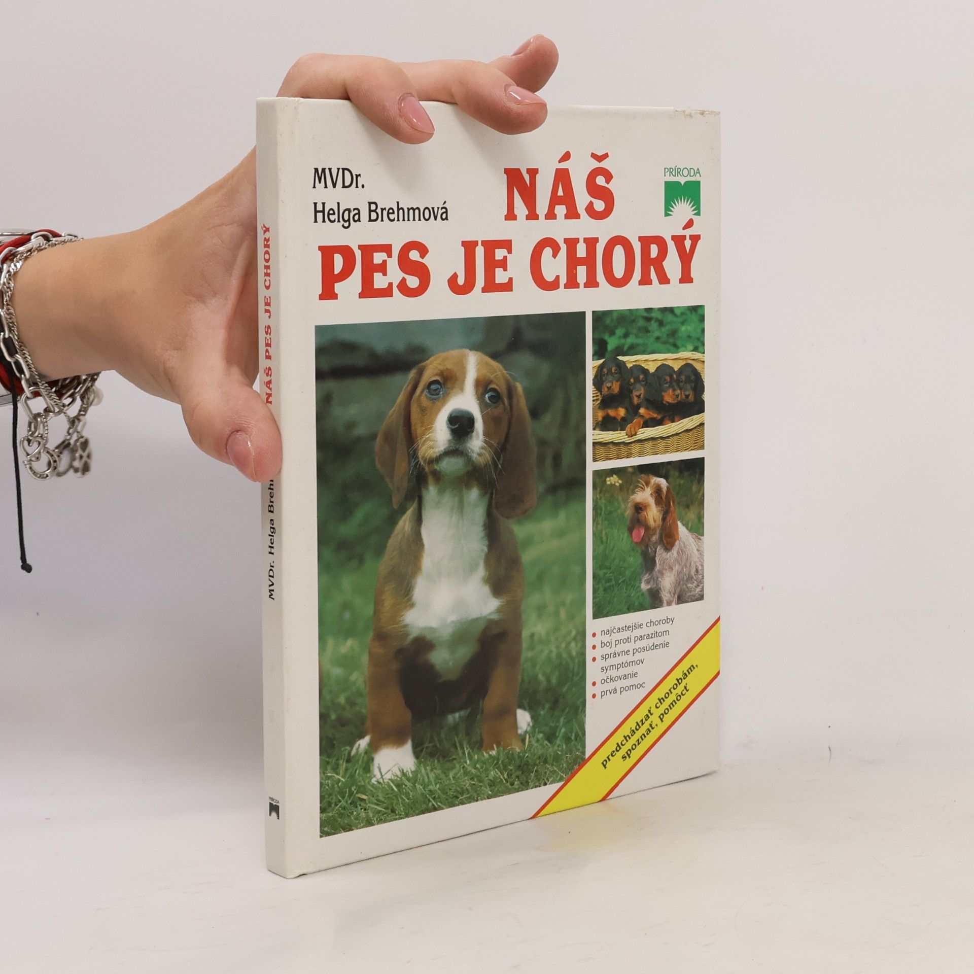 Helga Brehm Náš pes je chorý