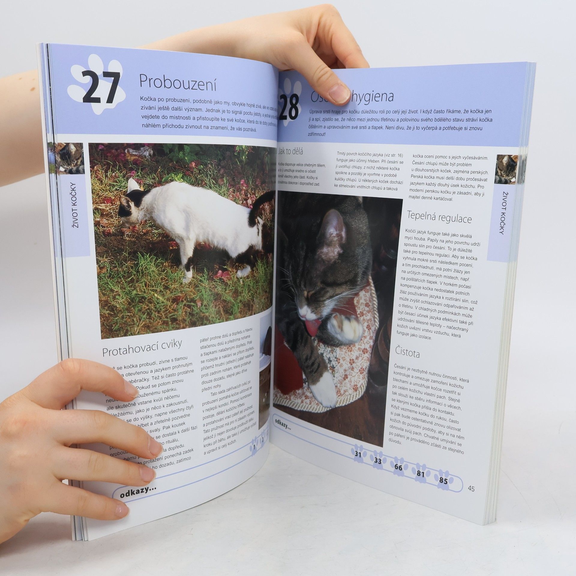Roger Tabor 100 způsobů, jak rozumět vaší kočce