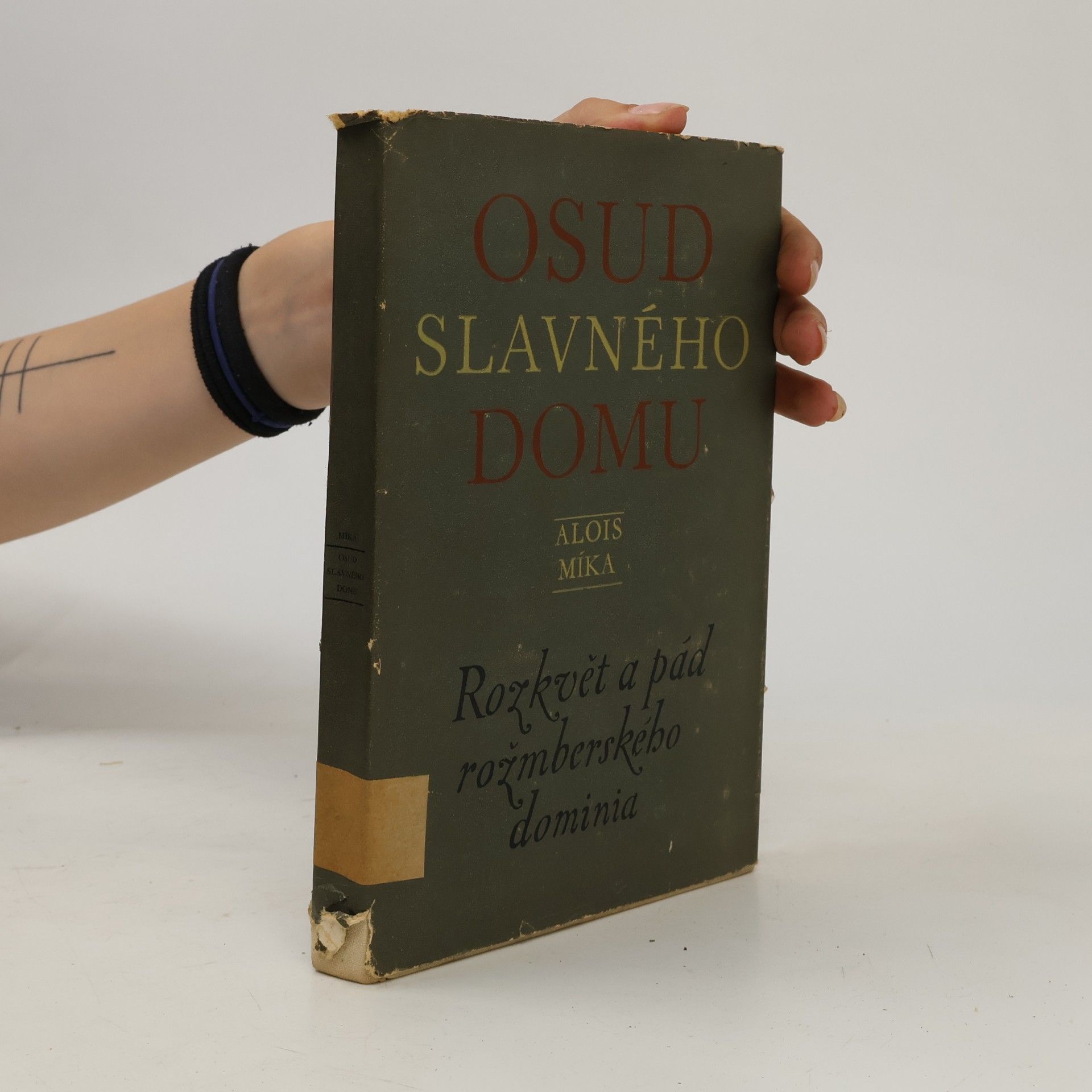 Alois Míka Osud slavného domu. Rozkvět a pád rožmberského dominia