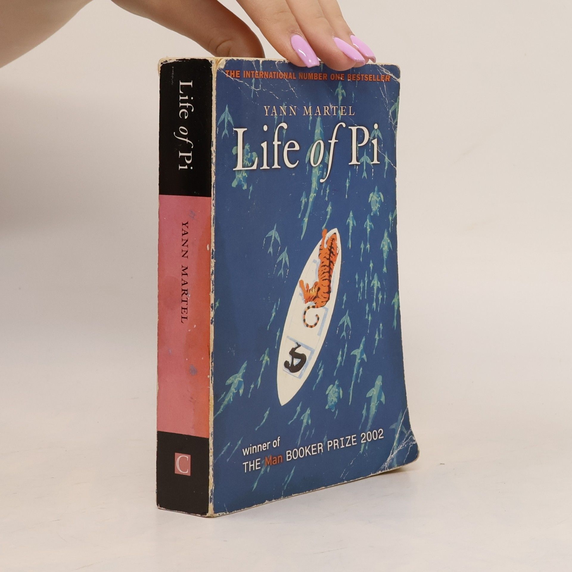 Yann Martel Life of Pi