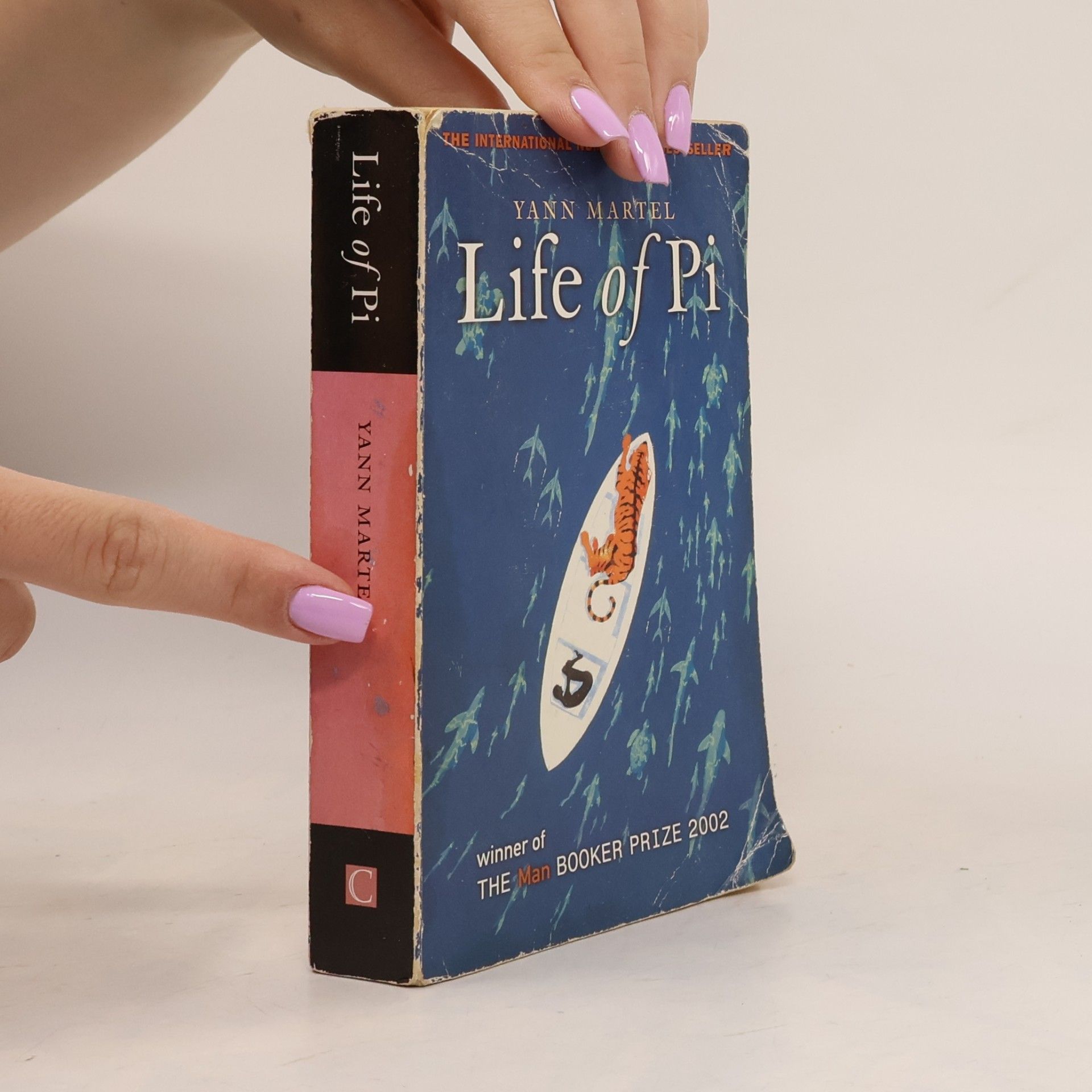 Yann Martel Life of Pi