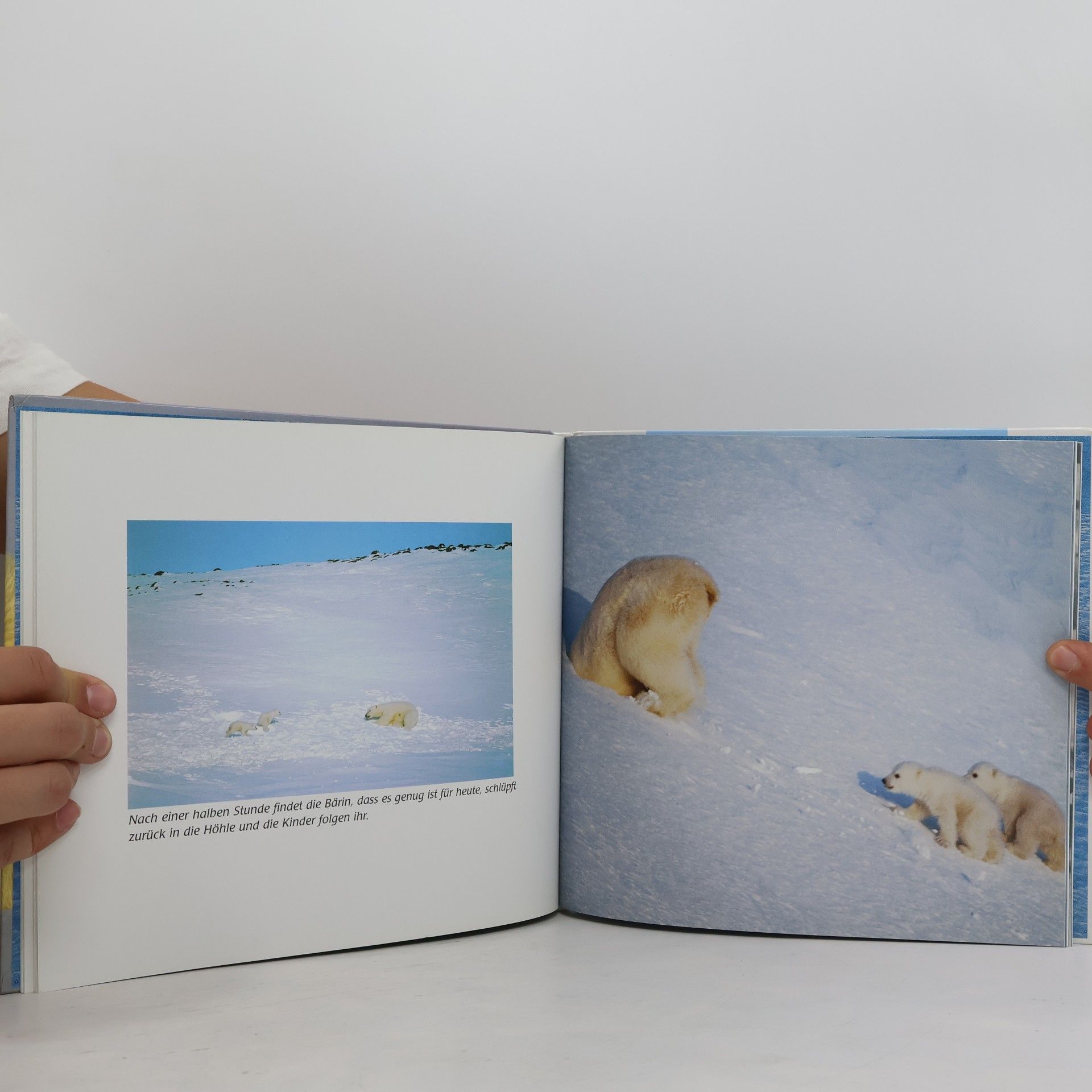 Thor Larsen Das Eisbären-Kinder-Buch