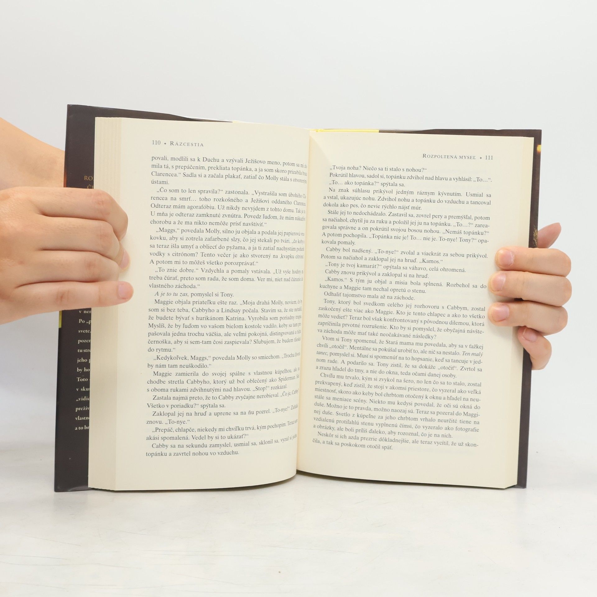 William P. Young Rázcestia