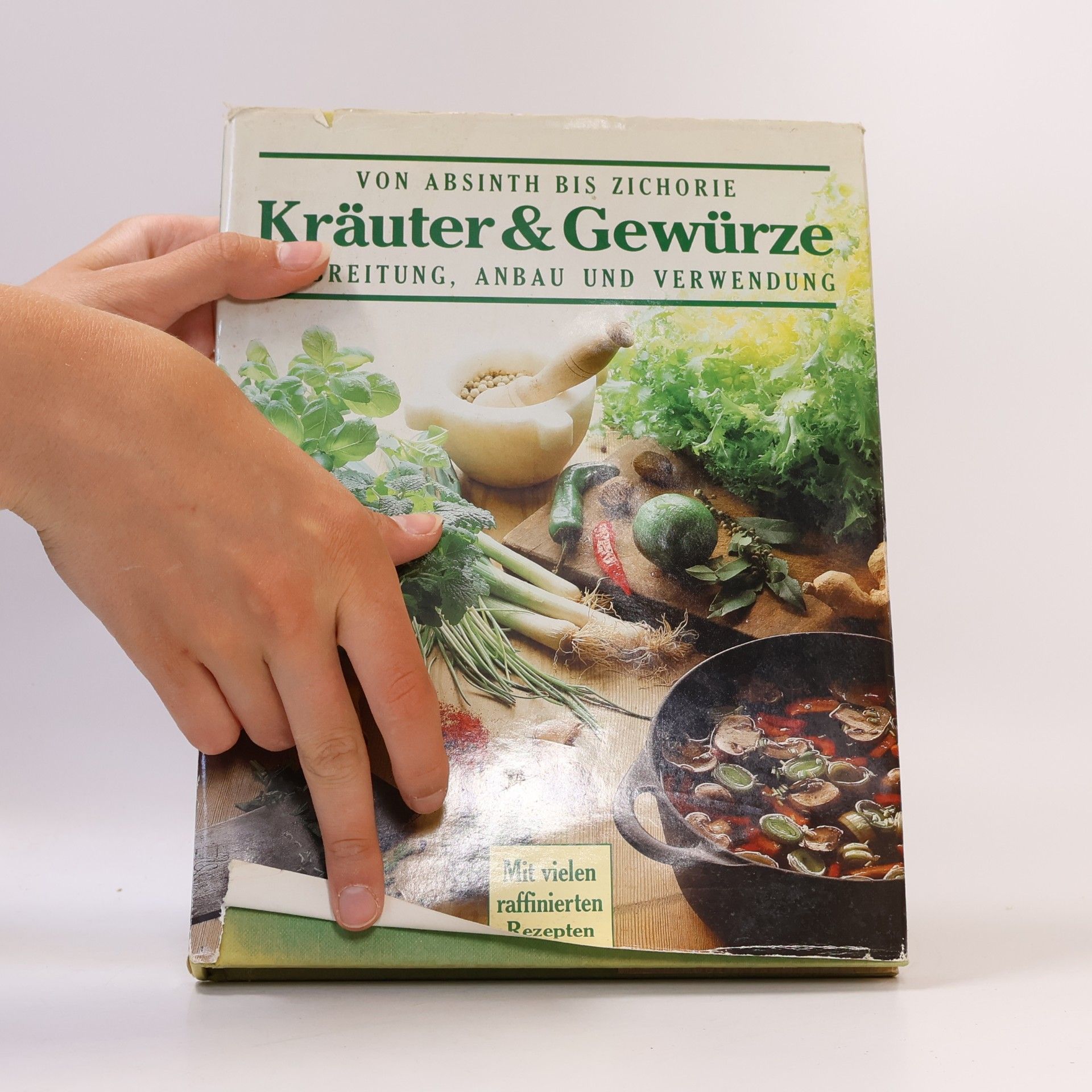 Kolektiv autorů Kräuter & Gewürze