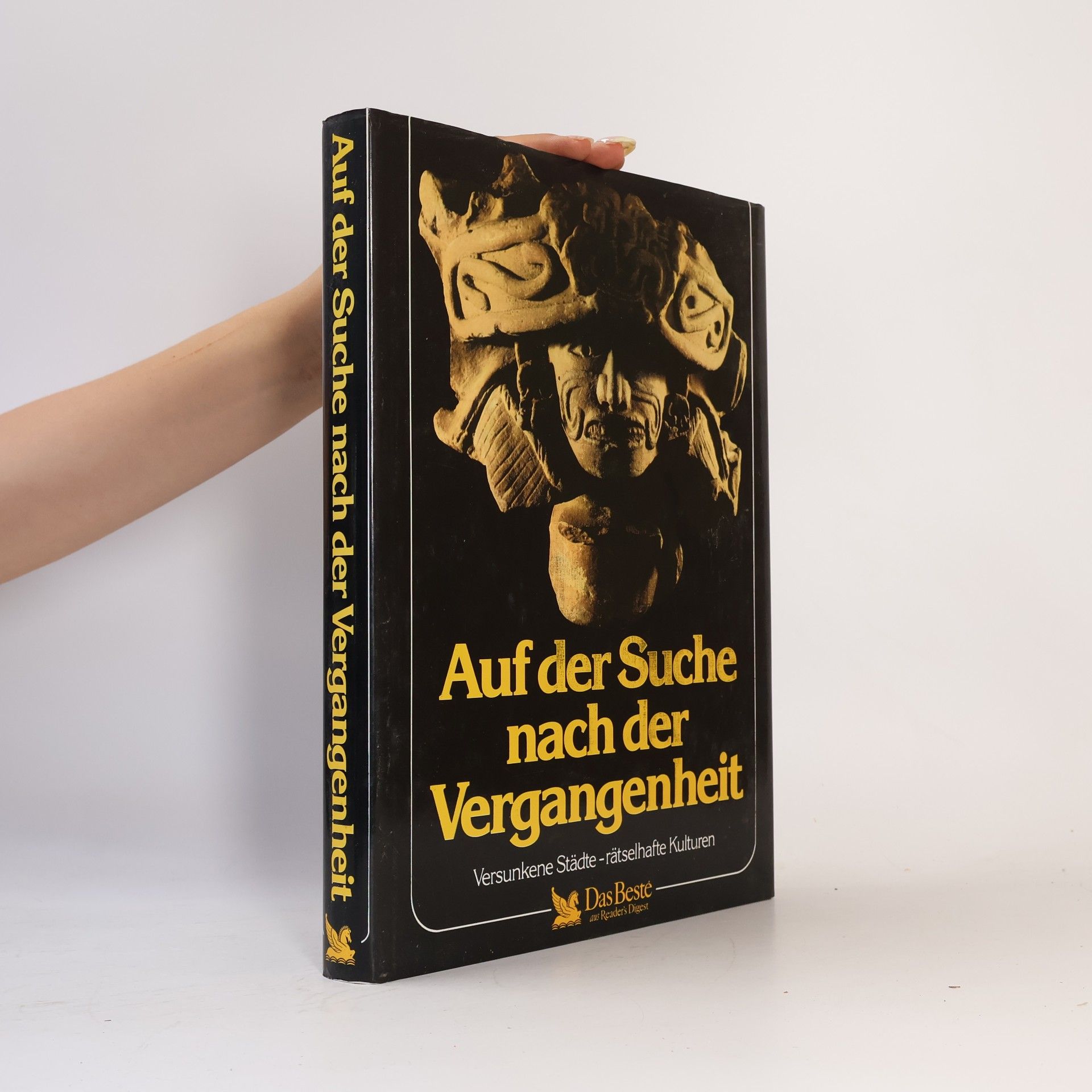 Sybille A. Rott Illfeld Auf der Suche nach der Vergangenheit
