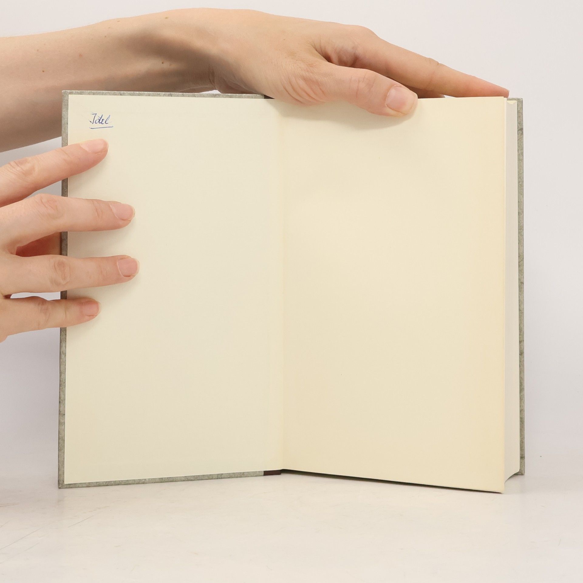 Johann Wolfgang von Goethe Gesammelte Werke I. Gedichte. Epen. Essays