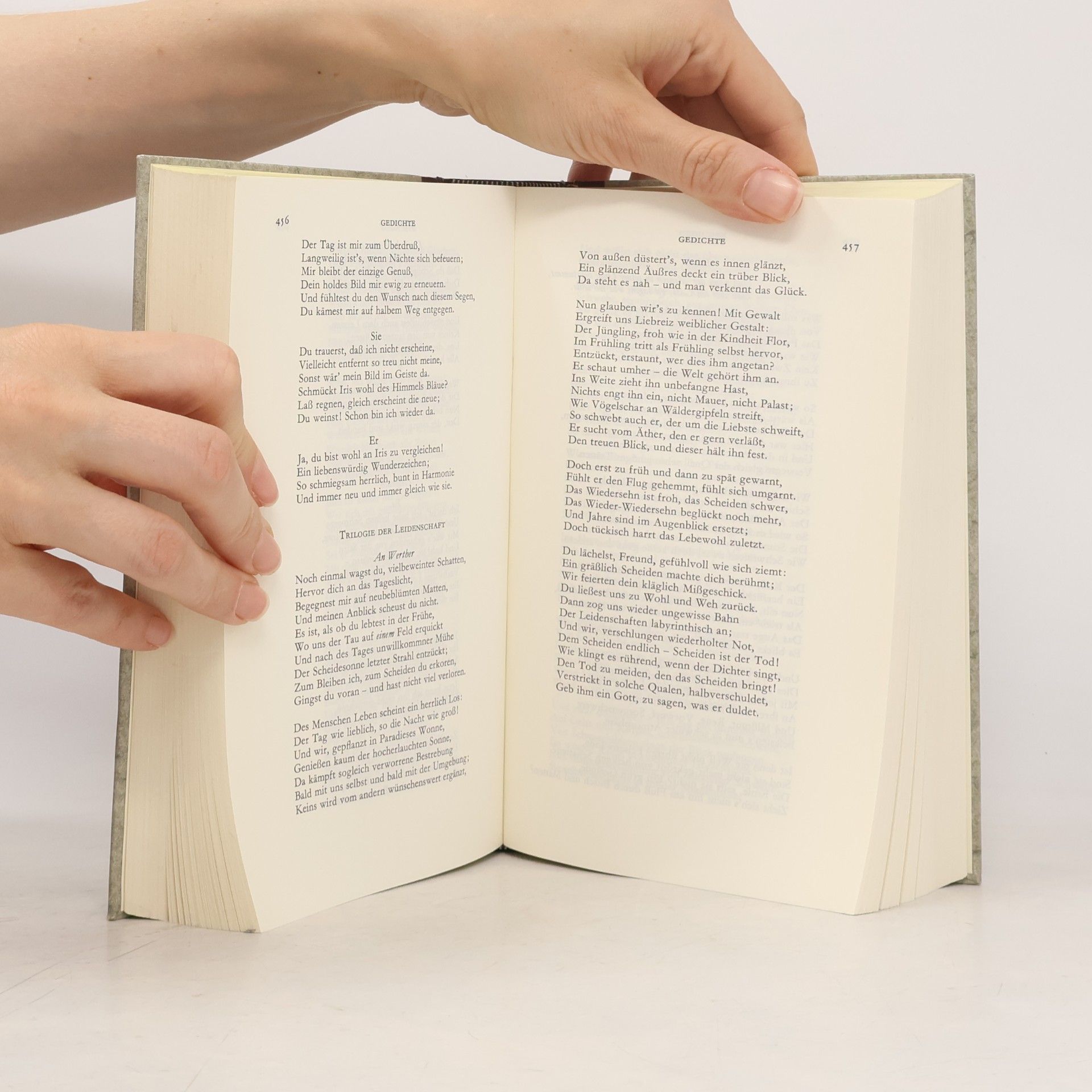 Johann Wolfgang von Goethe Gesammelte Werke I. Gedichte. Epen. Essays