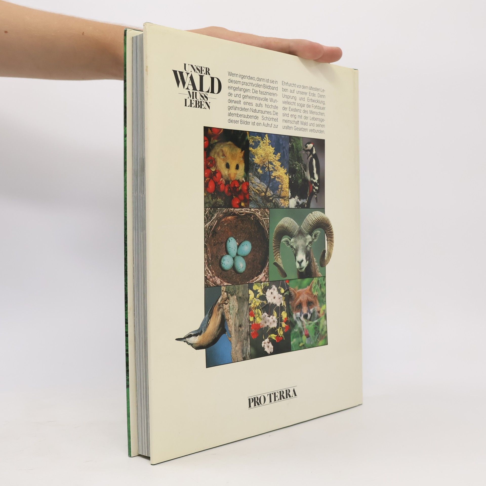 Collectif d'auteurs Unser Wald muss leben