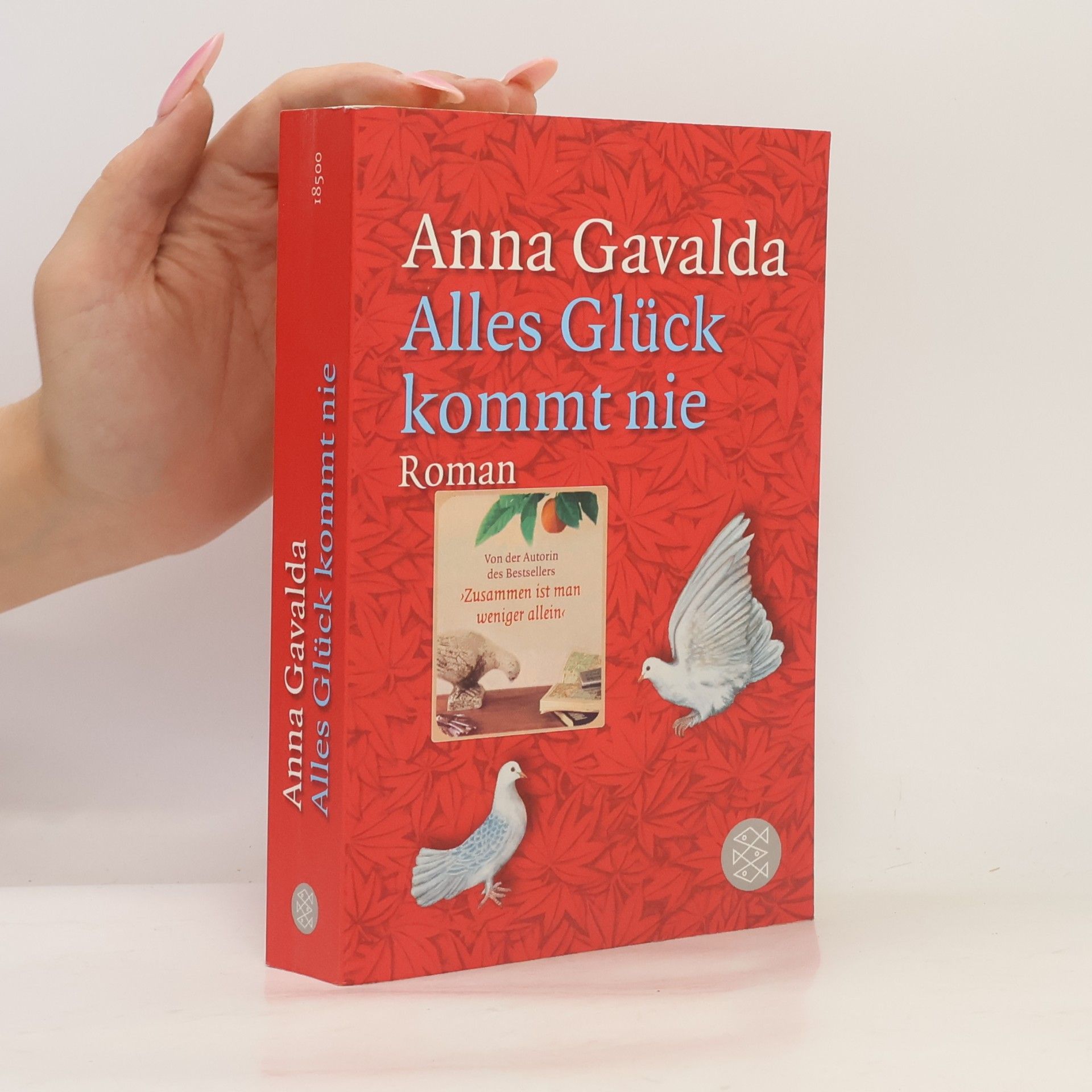 Anna Gavalda Alles Glück kommt nie