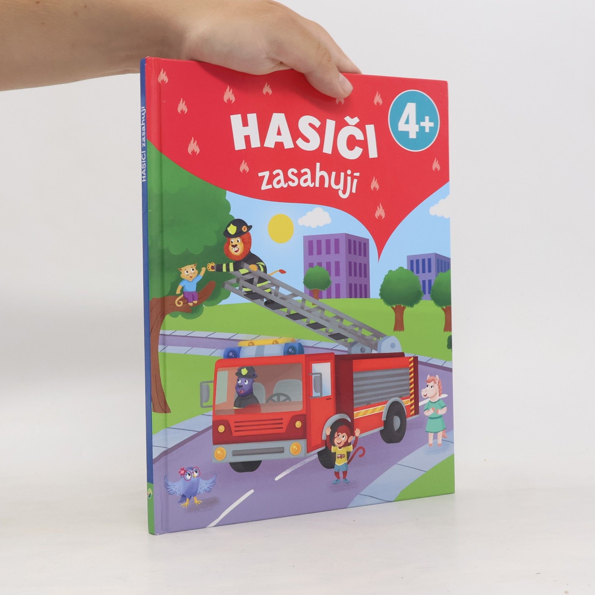 Kolektív autorov Hasiči zasahují