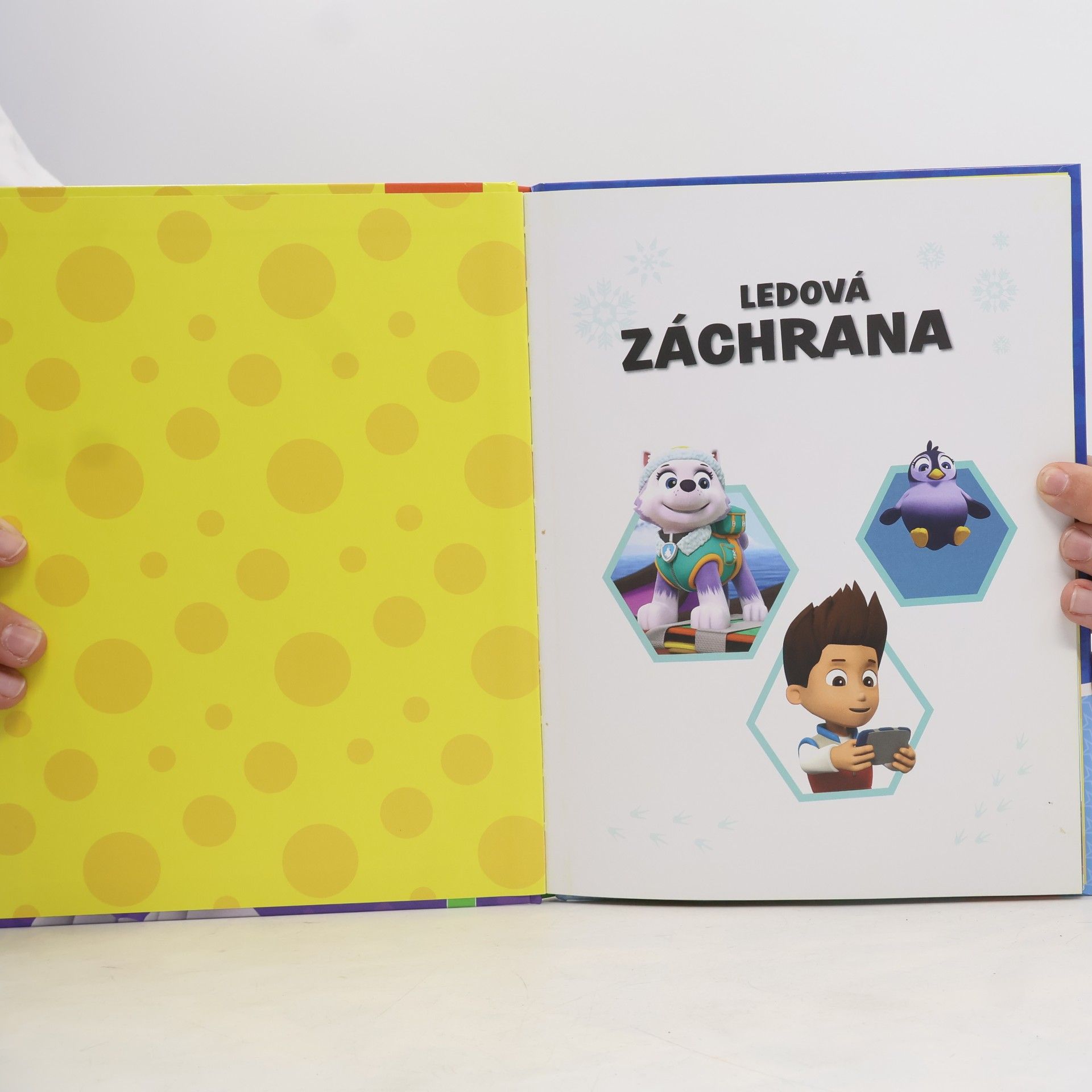 Kolektiv autorů Tlapková patrola. Ledová záchrana