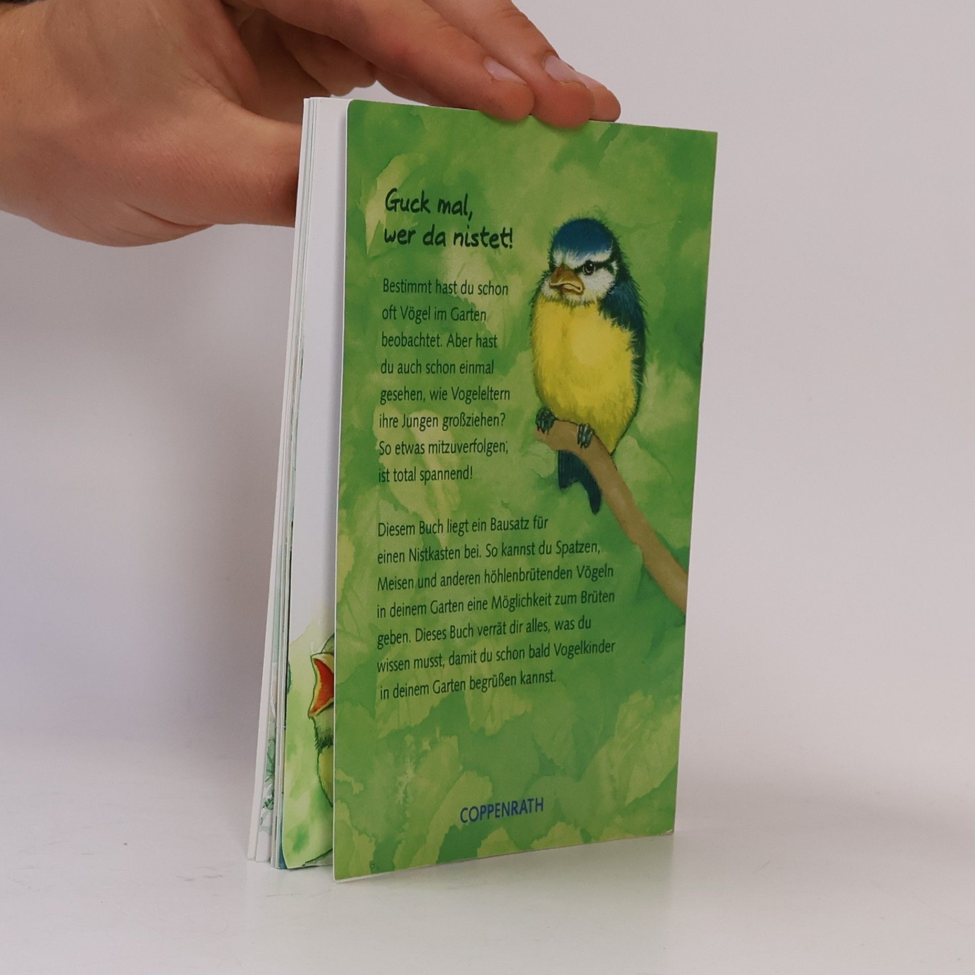 Holger Haag Vogelkinder in deinem Garten