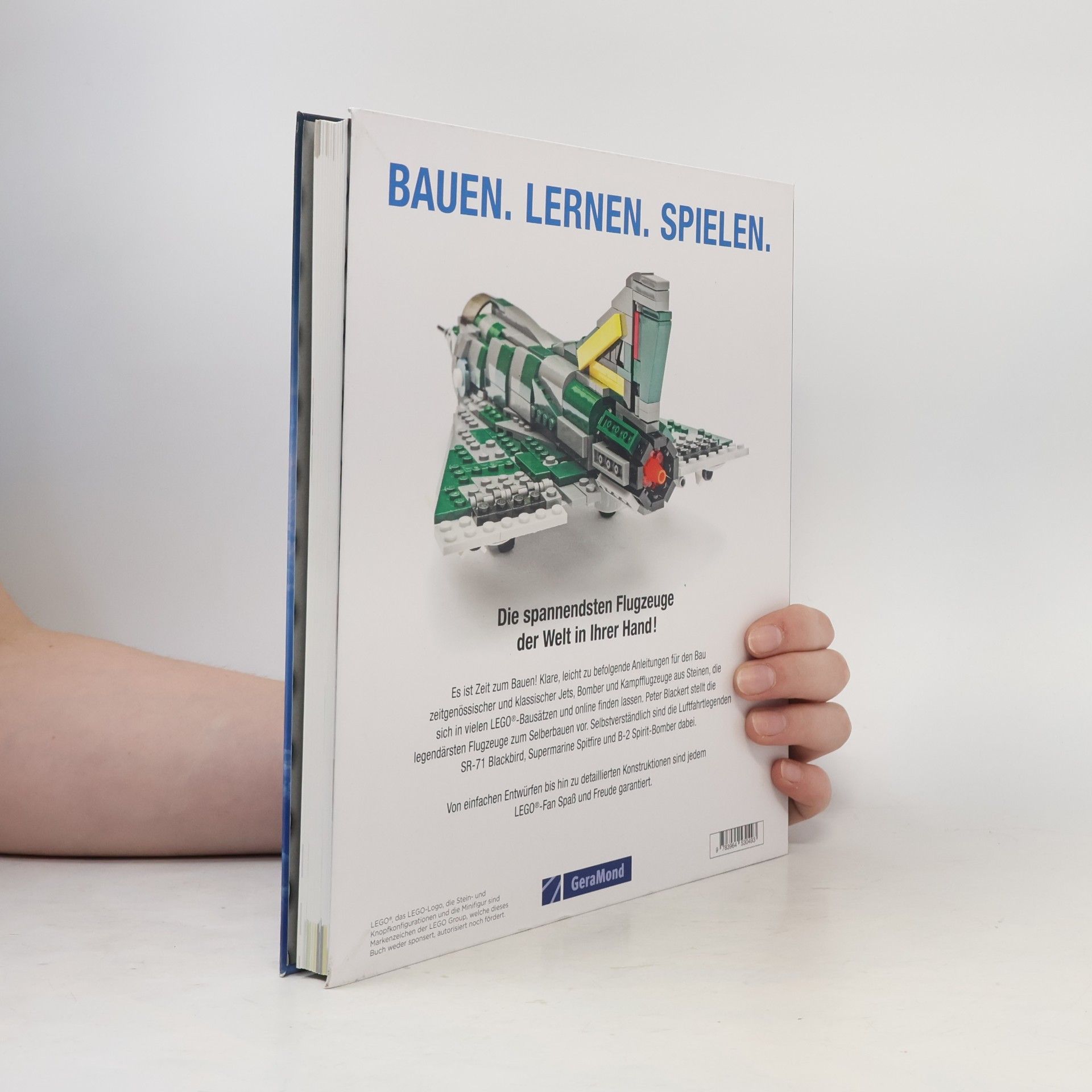 Peter Blackert LEGO Flugzeuge bauen