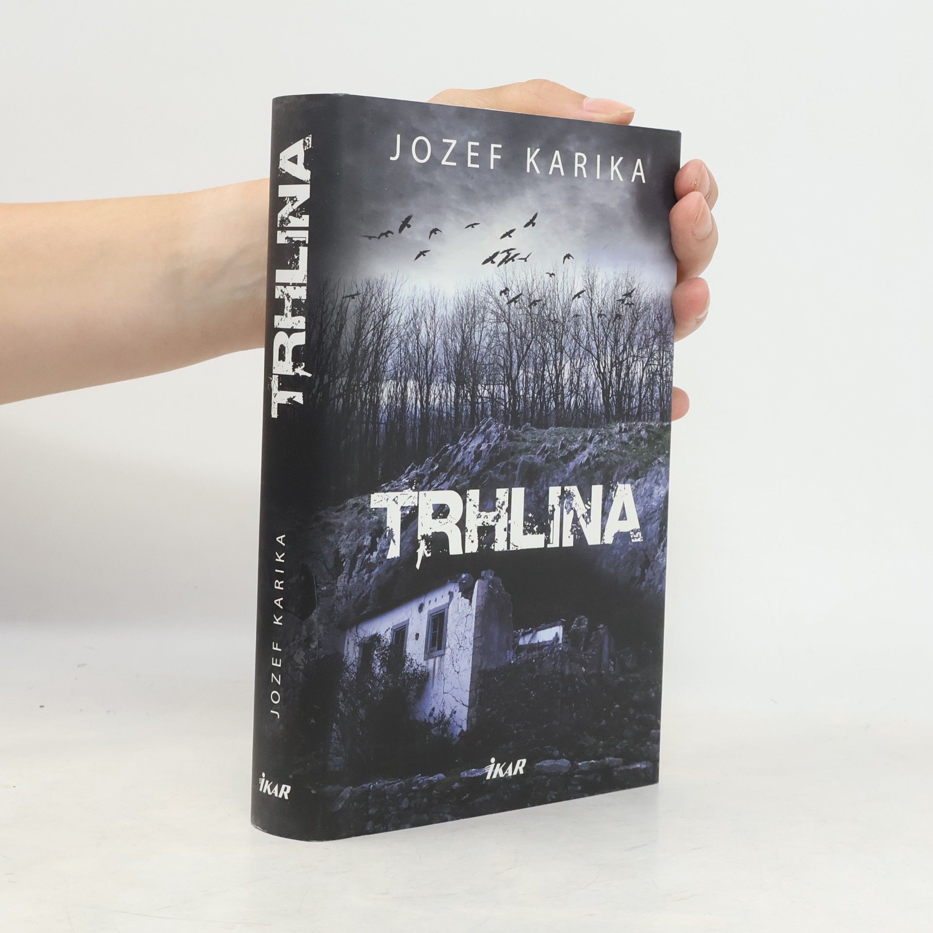 Jozef Karika Trhlina