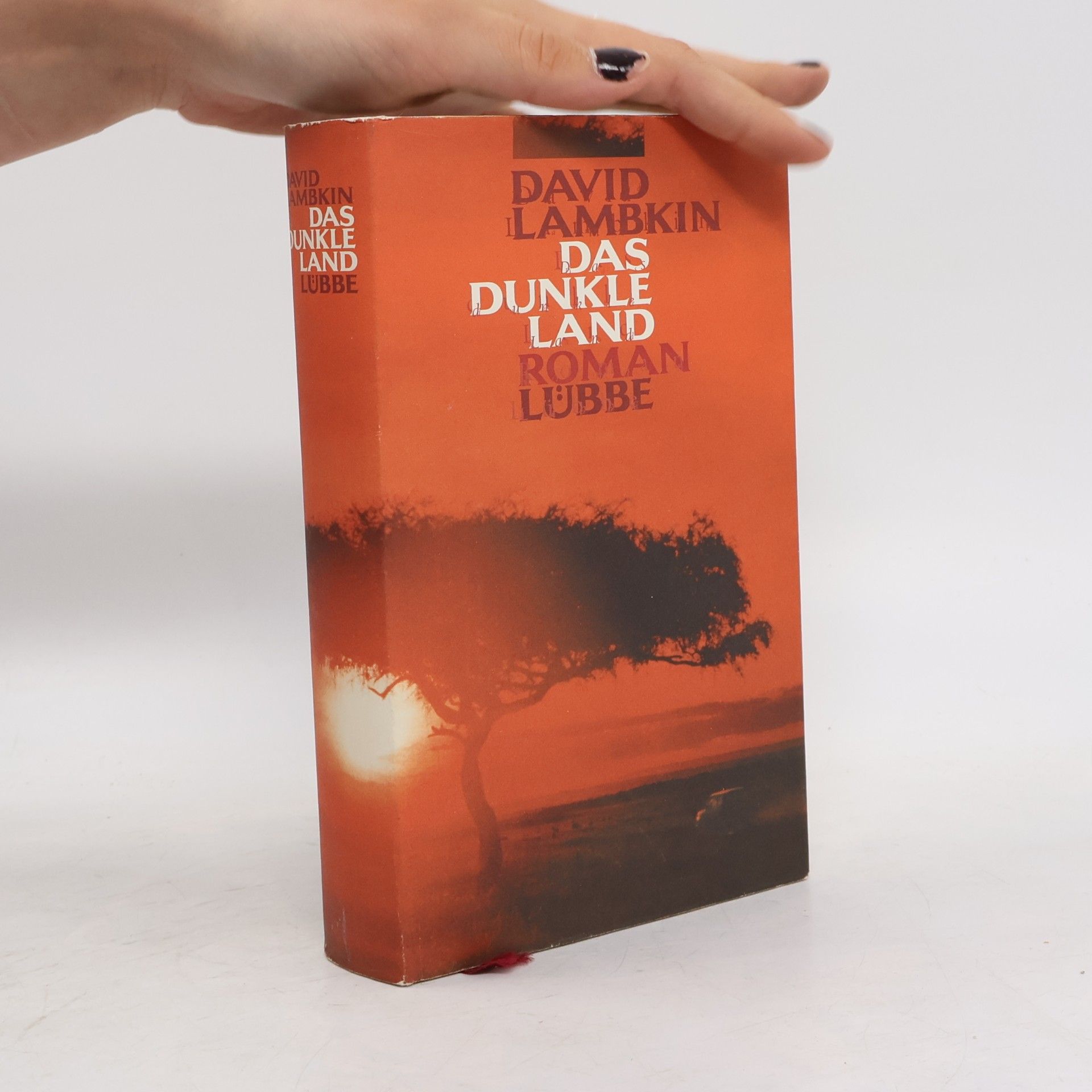 David Lambkin Das dunkle Land