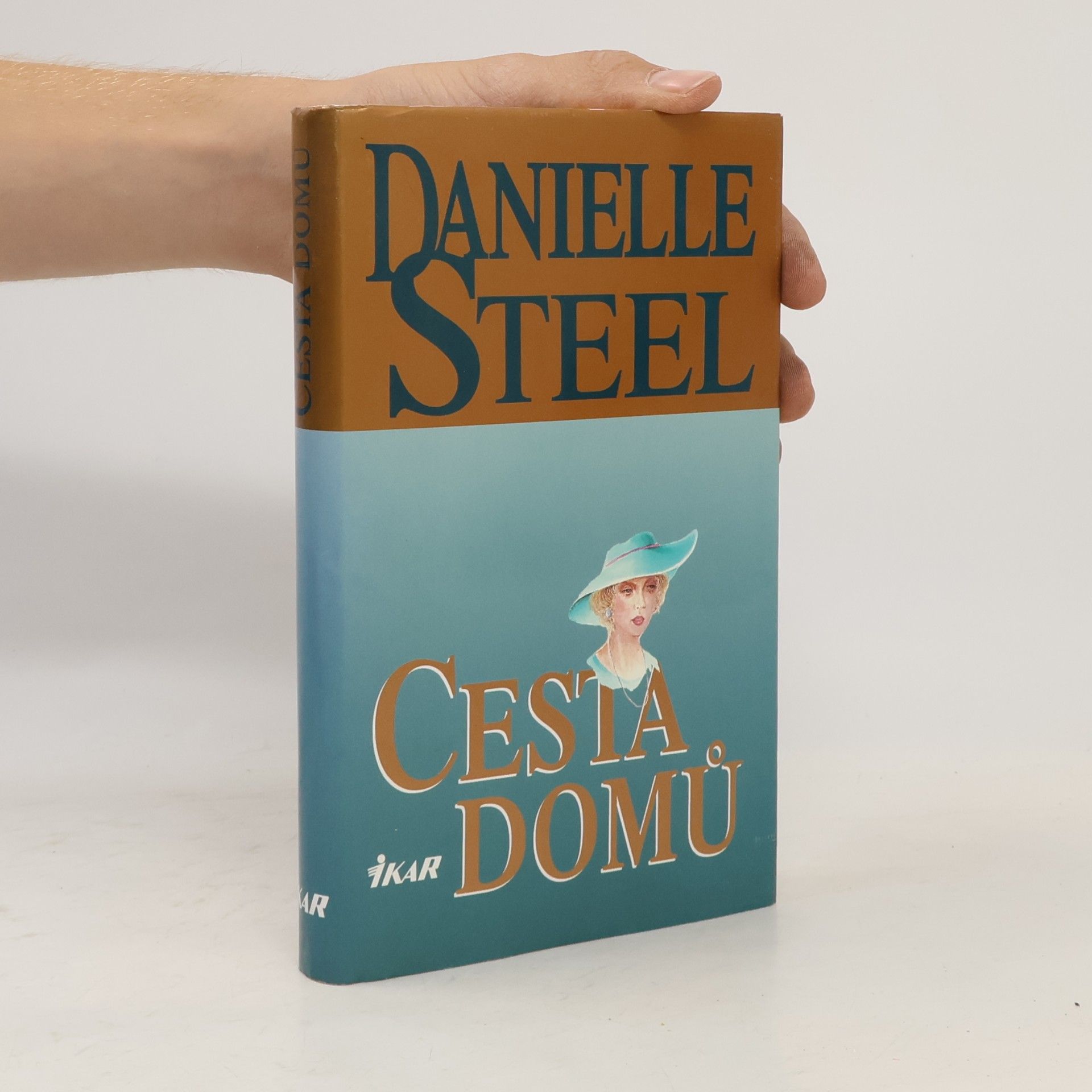 Danielle Steel Cesta domů