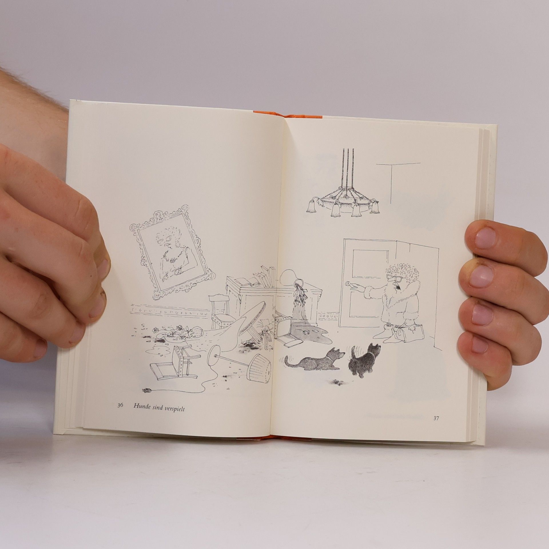 Volker Kriegel Die Kleine Komische Bibliothek - 8: Kleine Hundekunde