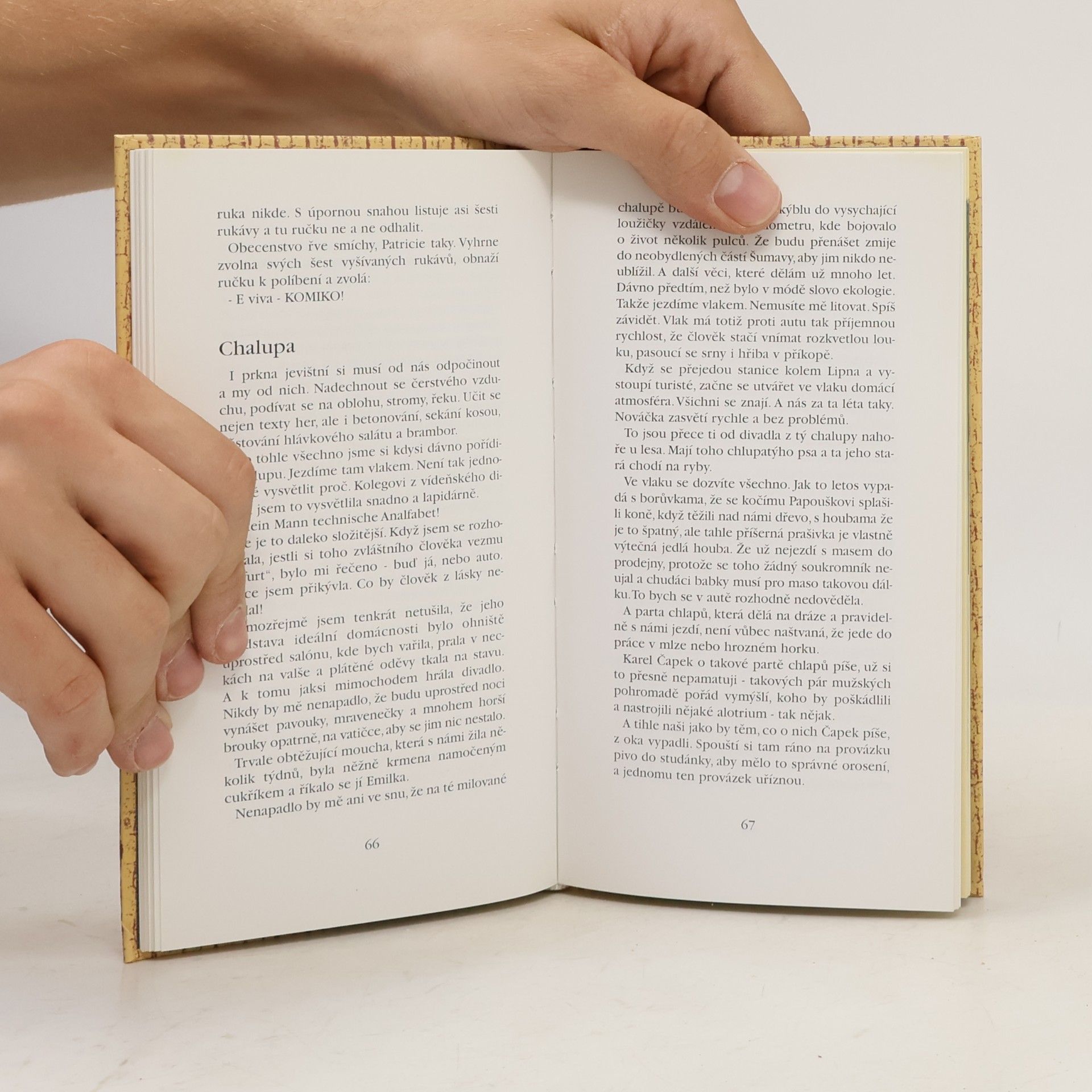 Various authors Před oponou za oponou... Jihočeského divadla
