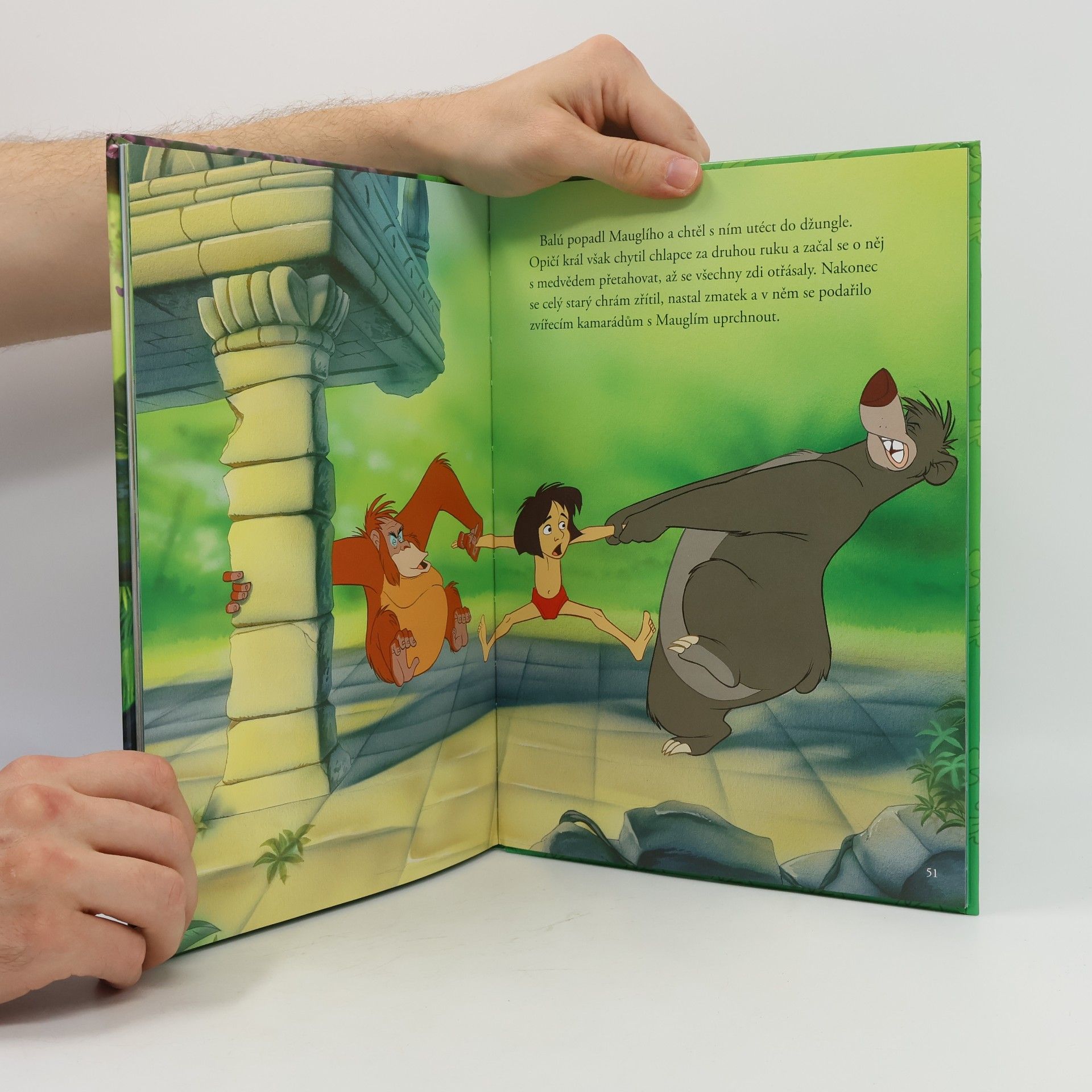 Kolektiv autorů Bambi. Kniha džunglí