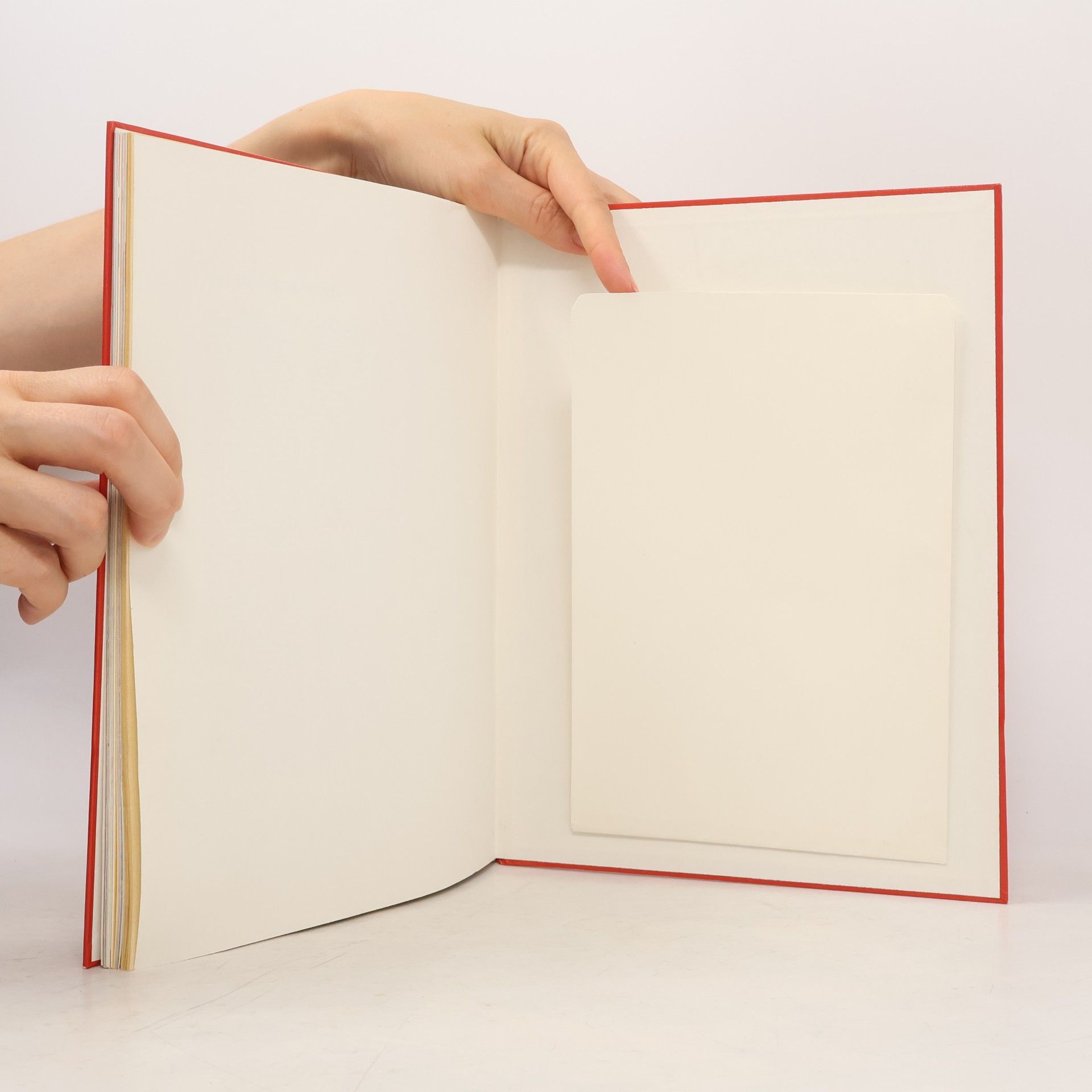 Das grosse Weihnachtsbuch