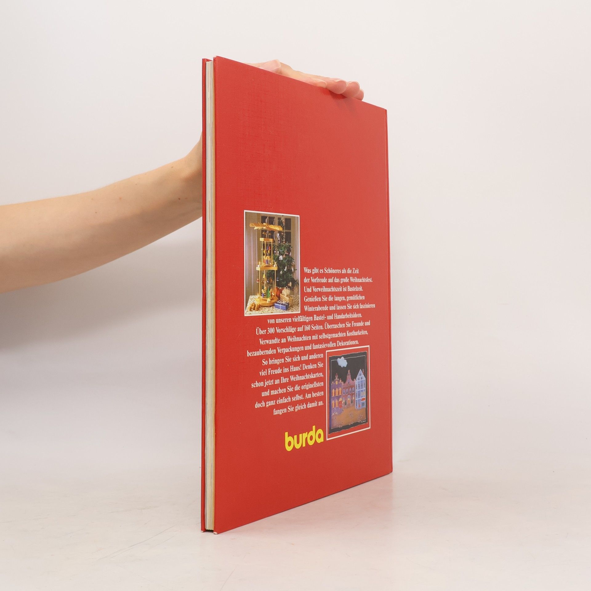 Das grosse Weihnachtsbuch