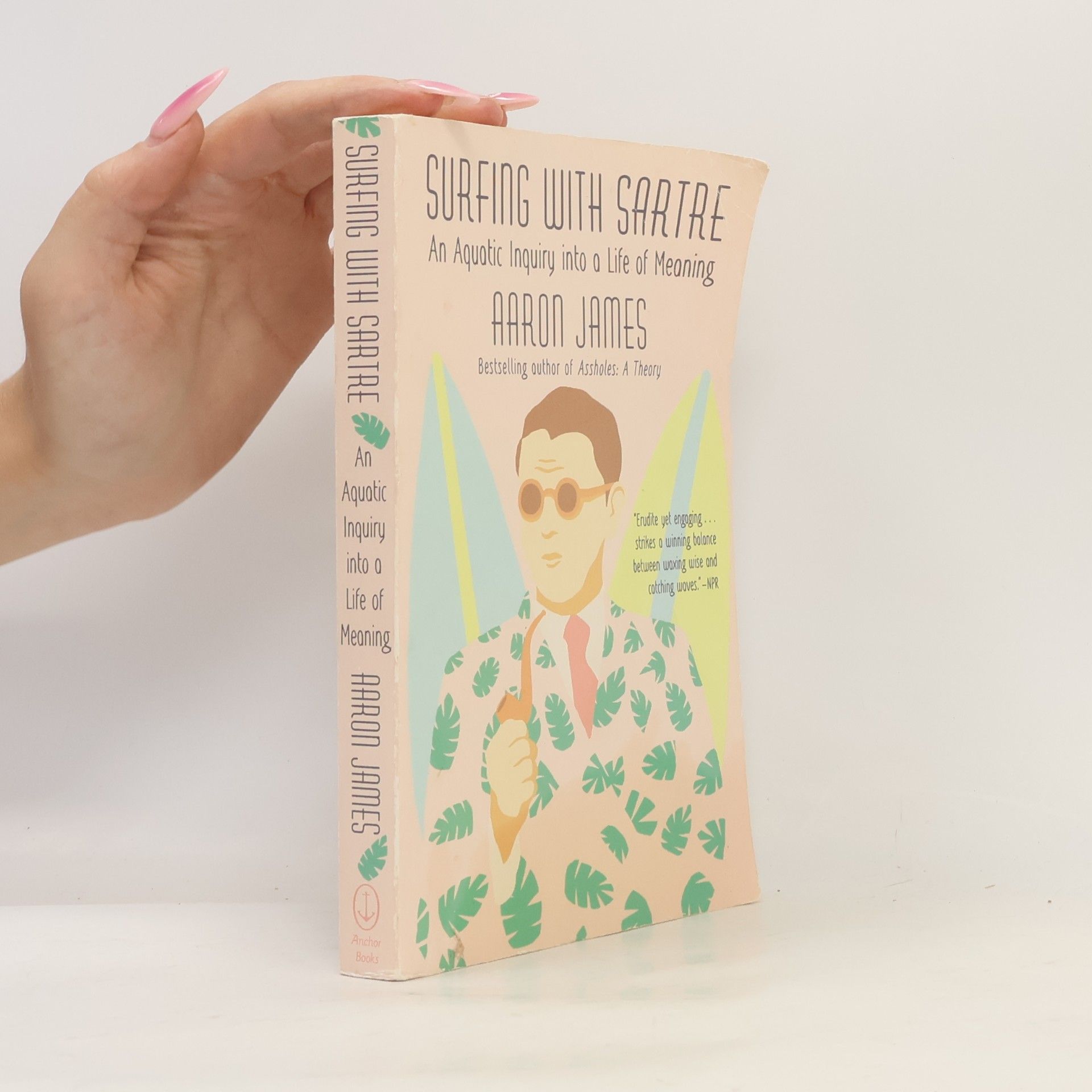 Aaron James Surfing with Sartre
