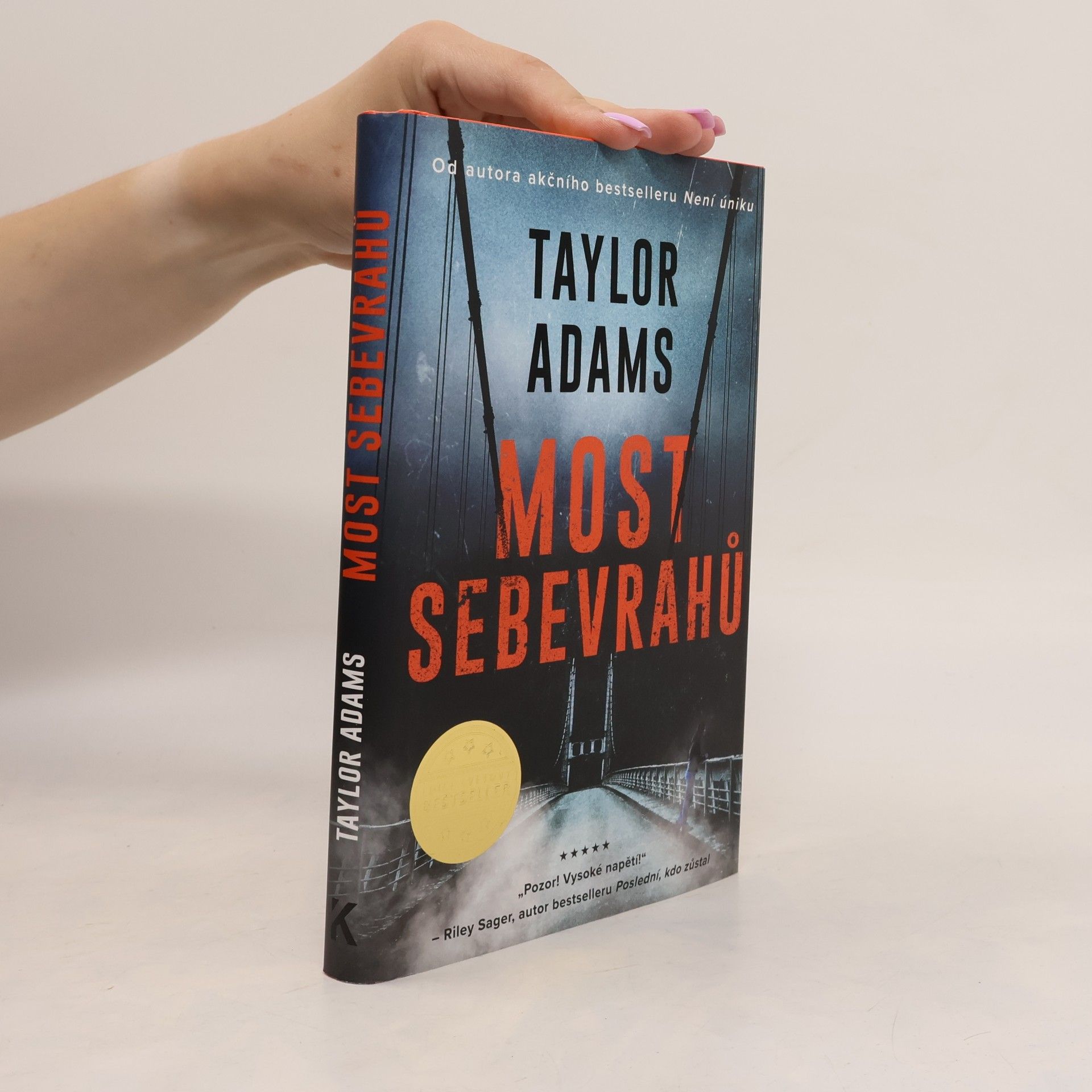 Taylor Adams Most sebevrahů